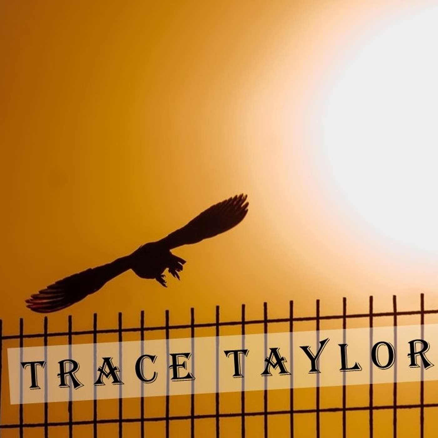 CHAT ROOM - Trace Taylor, new music 2025