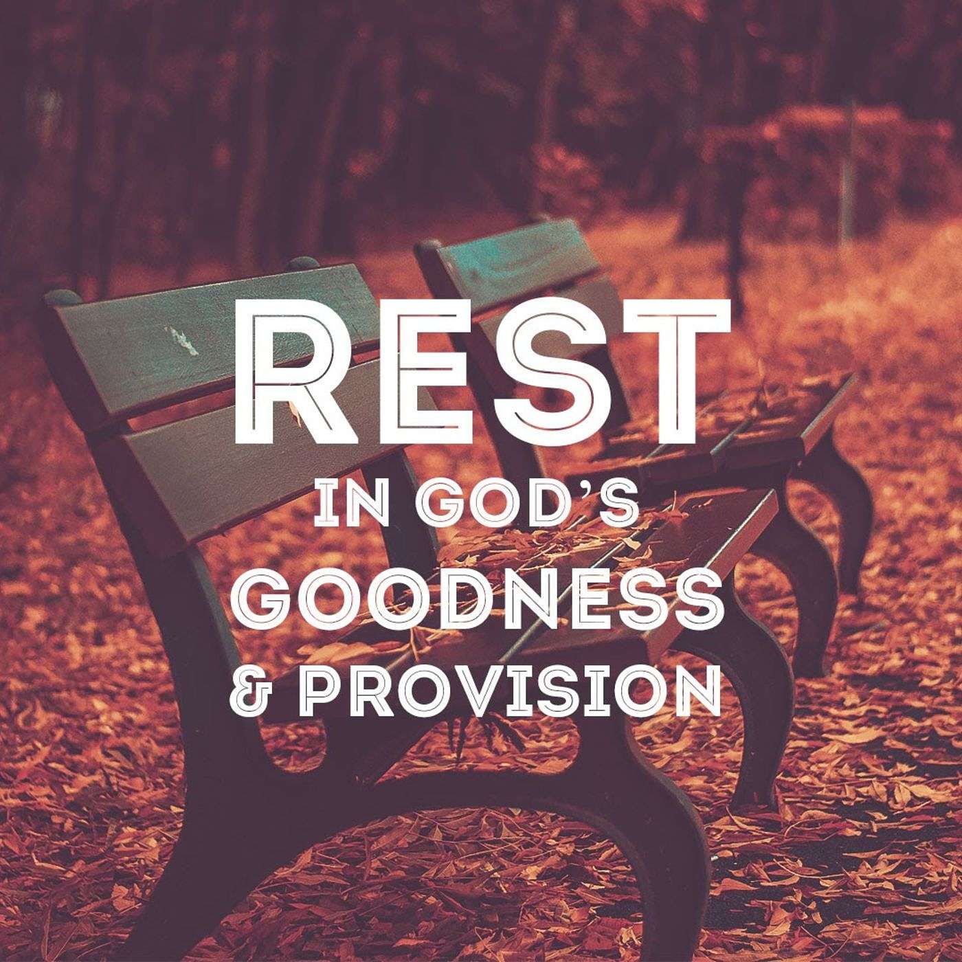 The Provisions of God.mp3