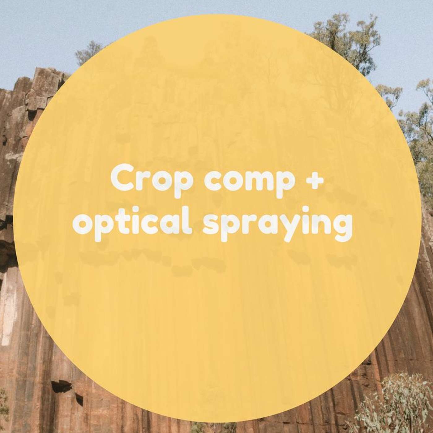 Crop competition and optical spraying in the North