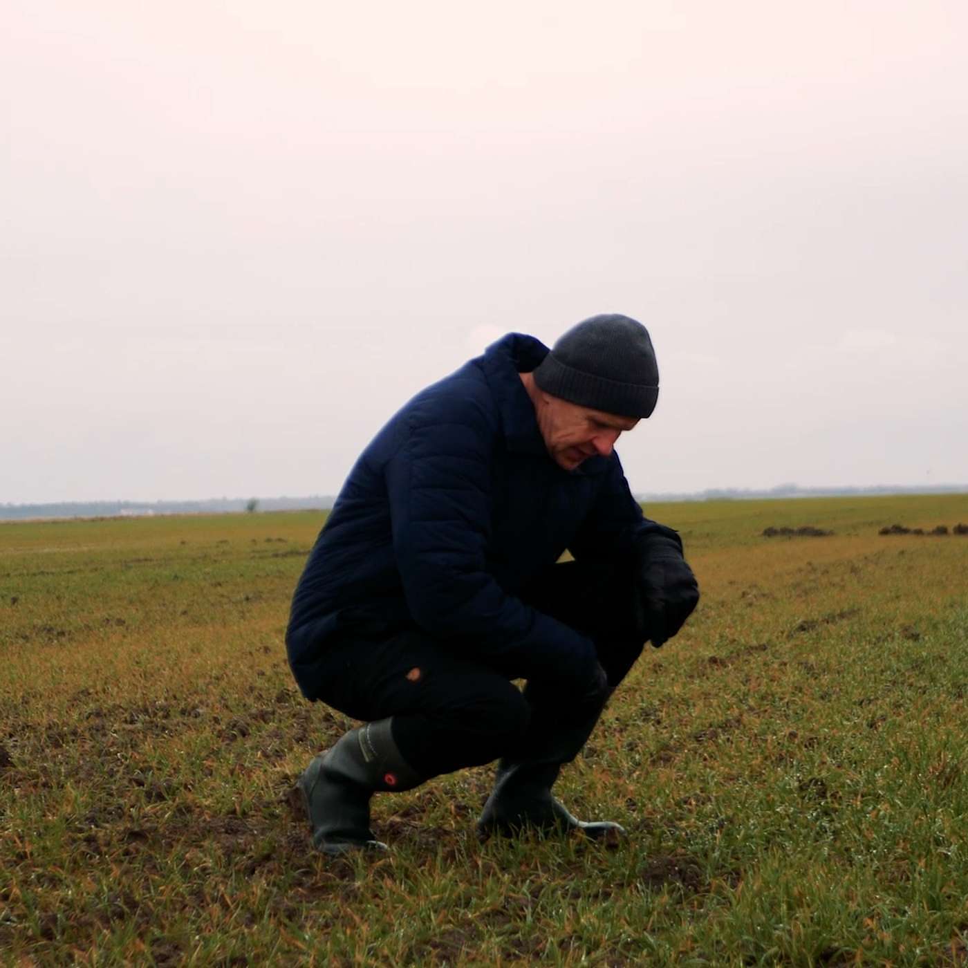 SEGES Økonomi og virksomhedsledelse