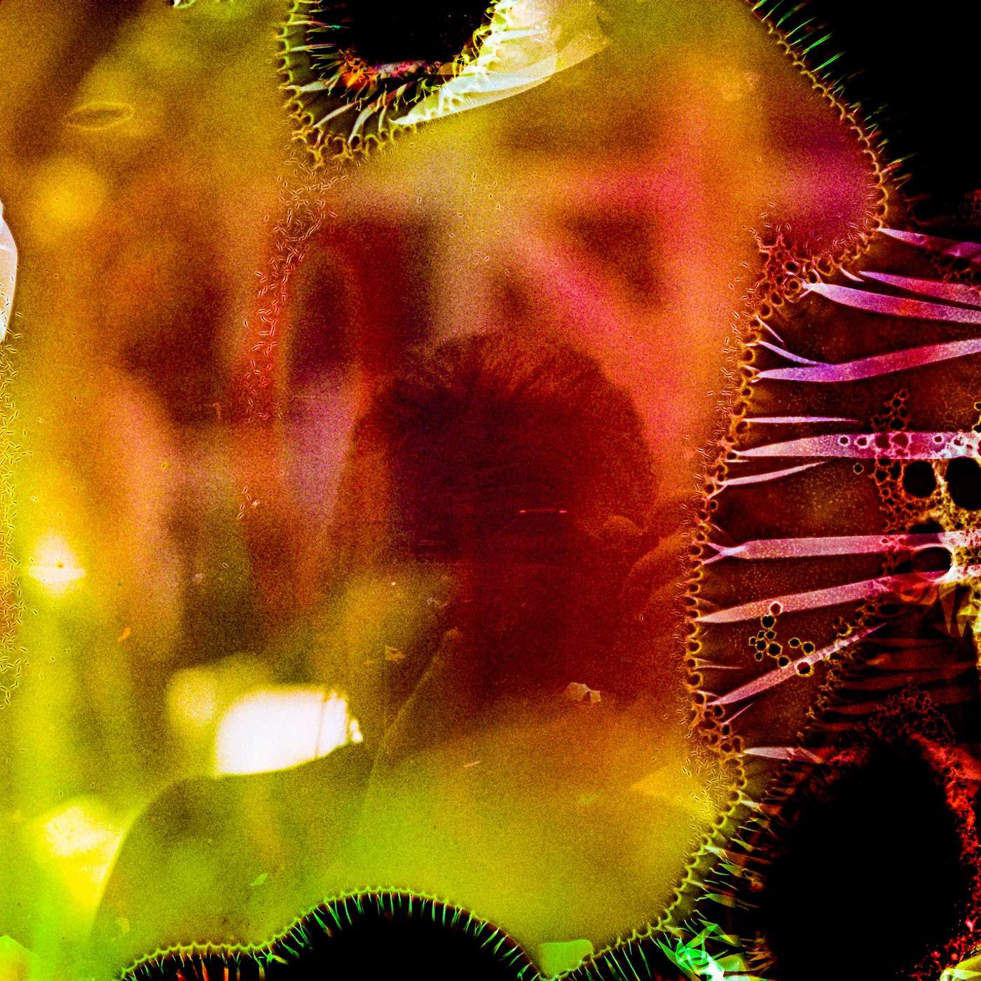 Natalie Blom of the project 'Everyday Alchemy' at Sticky Institute as part of The City of Melbourne's 'Heat Safe City' project. episode artwork