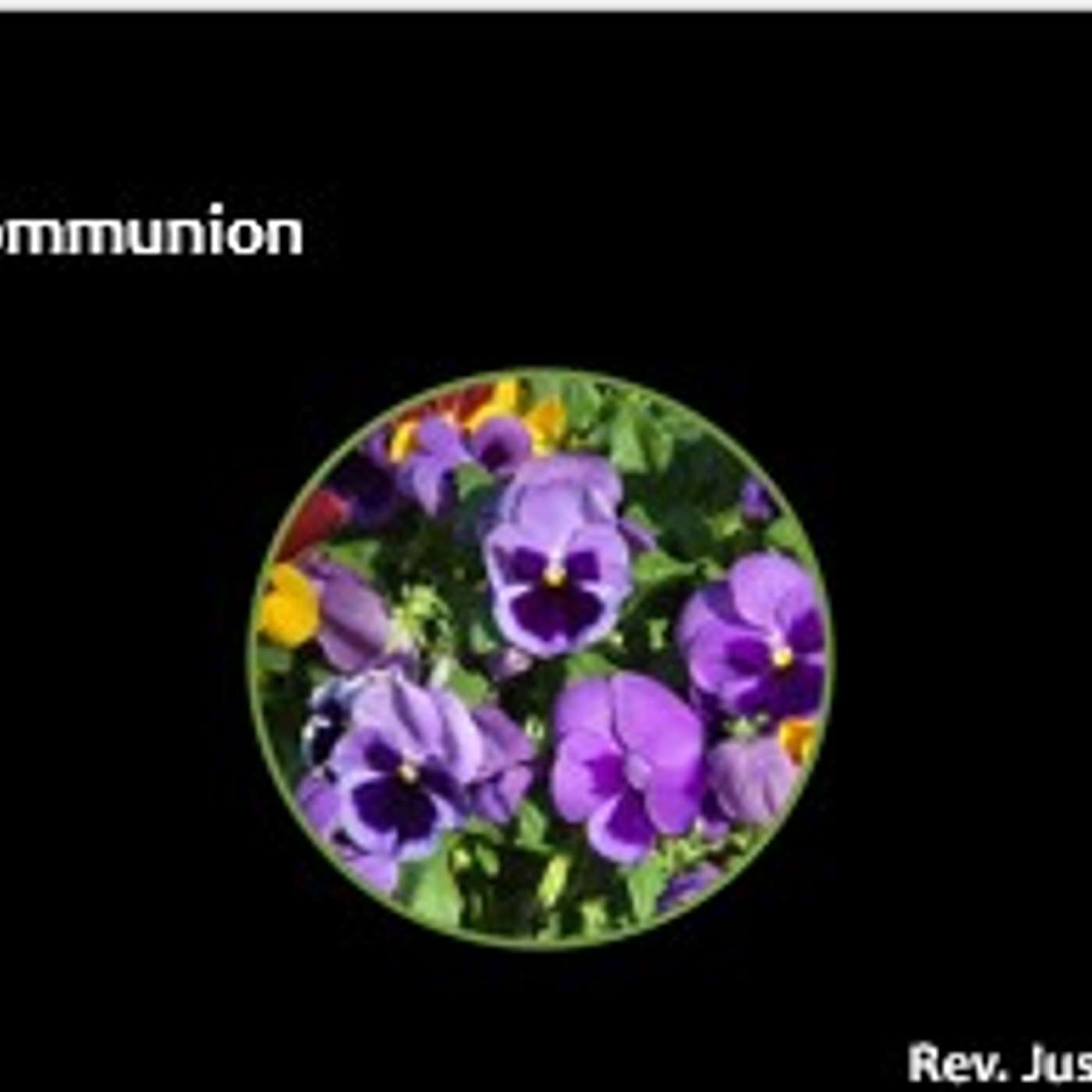 Flower Communion