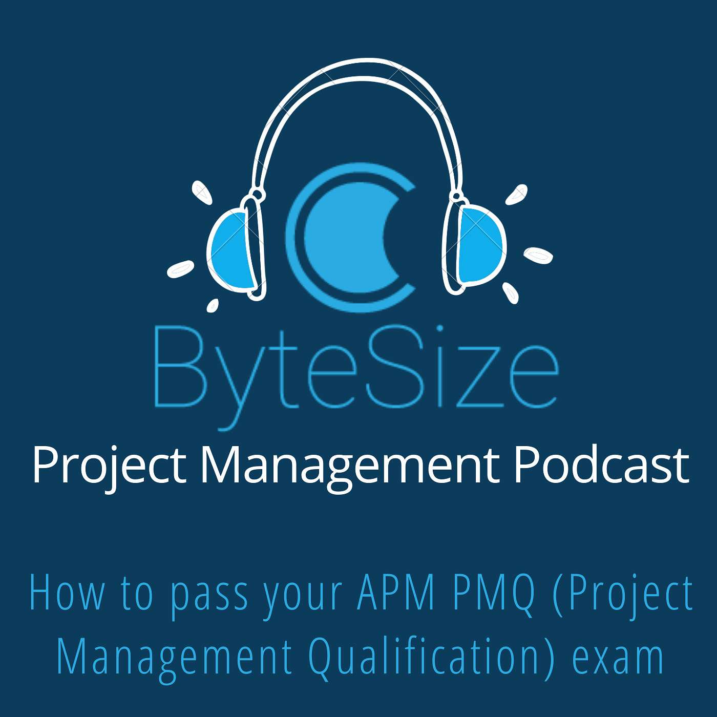 Training ByteSize Project Management - insights, interviews and expertise