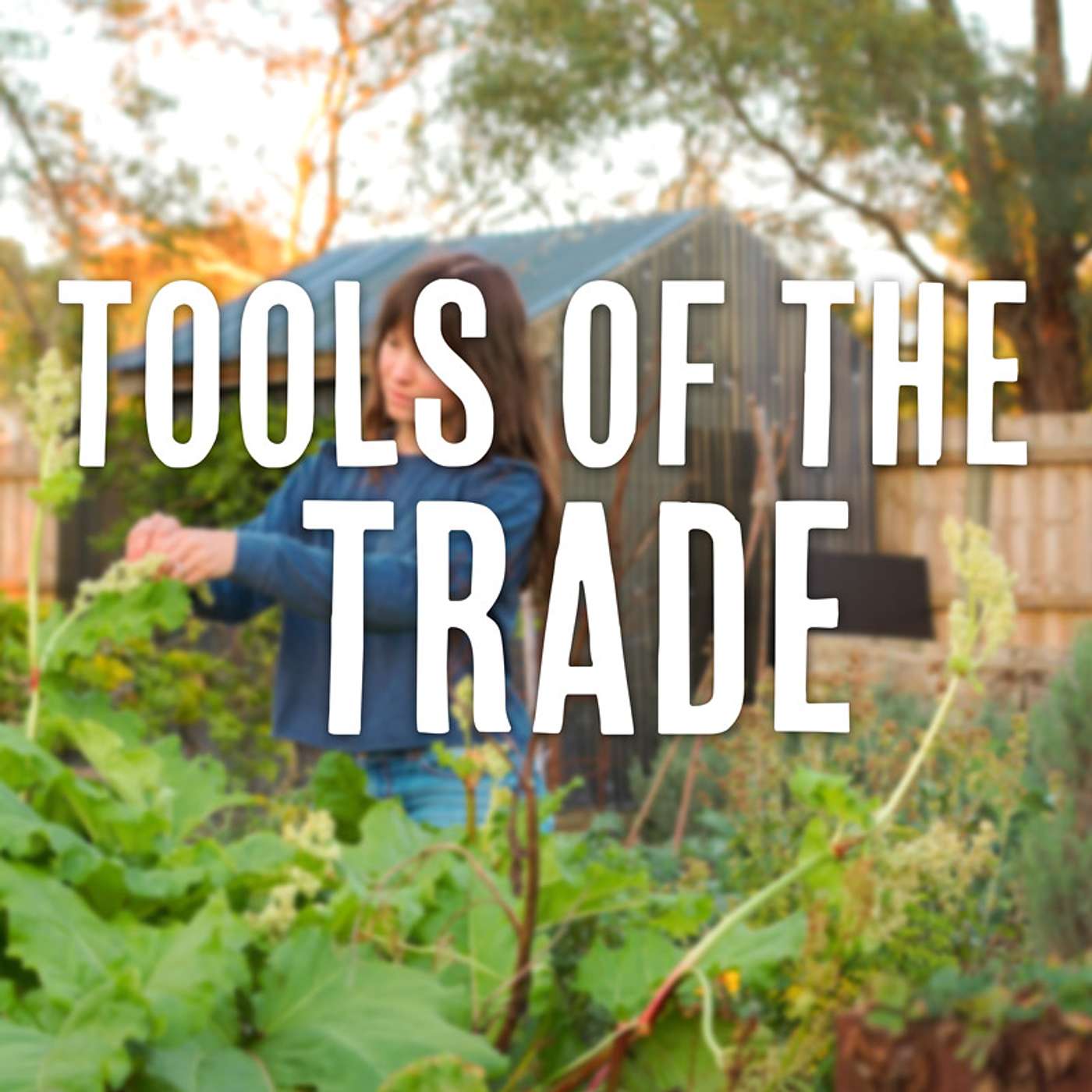 Tools Of The Trade: Let's Get Handy!