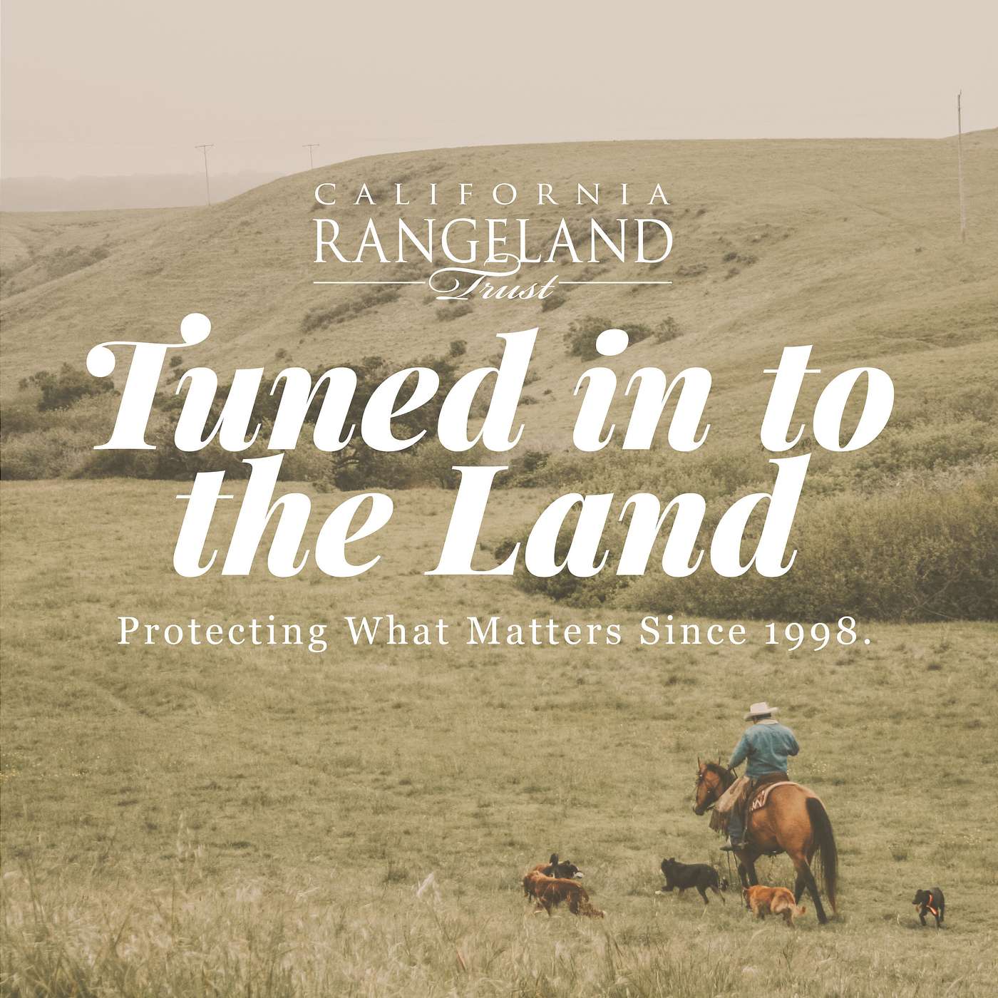 BONUS: Cheers to Ecosystem Services episode artwork