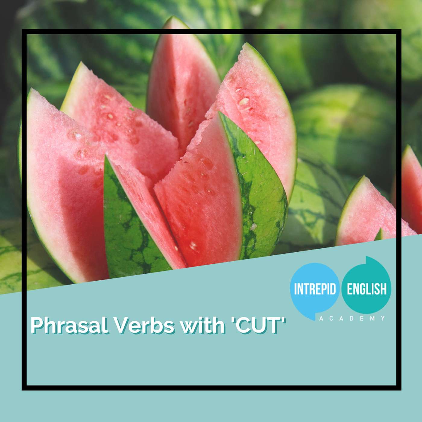 Phrasal Verbs with 'Cut' #TBT
