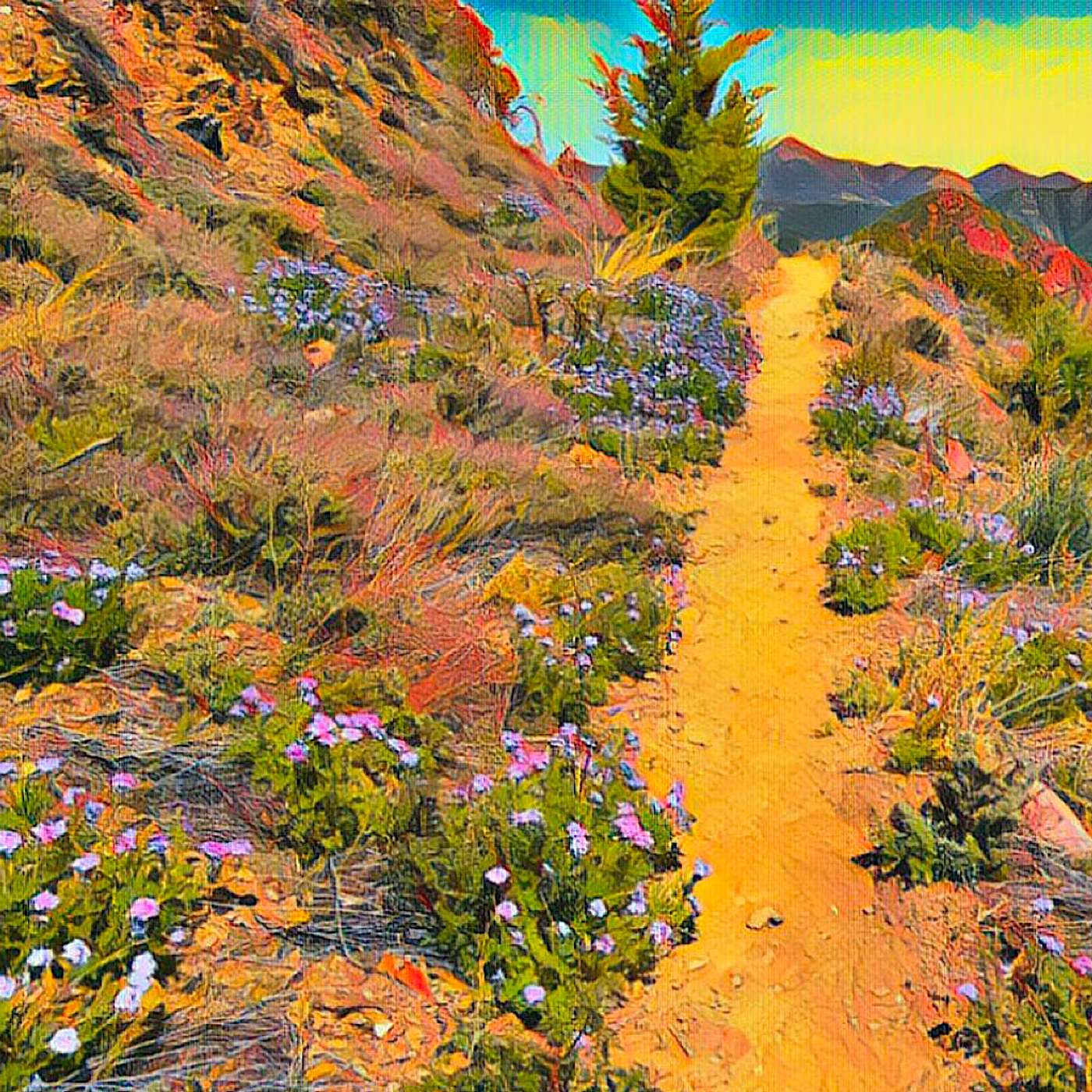 blissful hiker ❤︎ inspiring you to hike your own hike