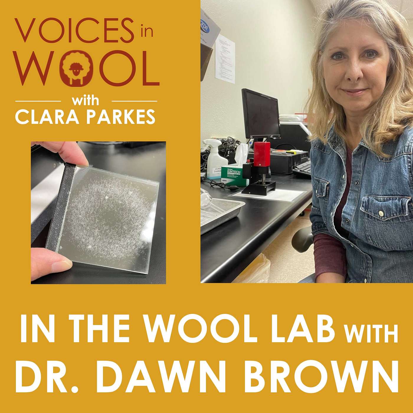 She Tortures Wool for a Living: Meet the Woman Helping Revive Commercial Wool Testing in the US She Tortures Wool for a Living: Meet the Woman Helping Revive Commercial Wool Testing in the US