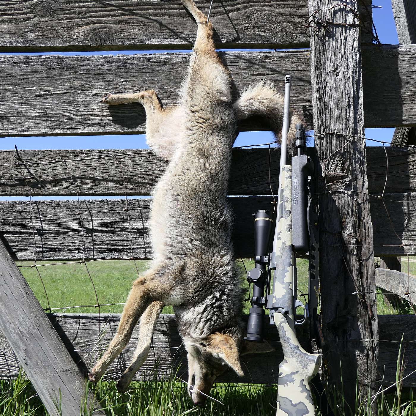 BT Ep#2; Custom Rifles Pillow Talk, Where to Even start!?