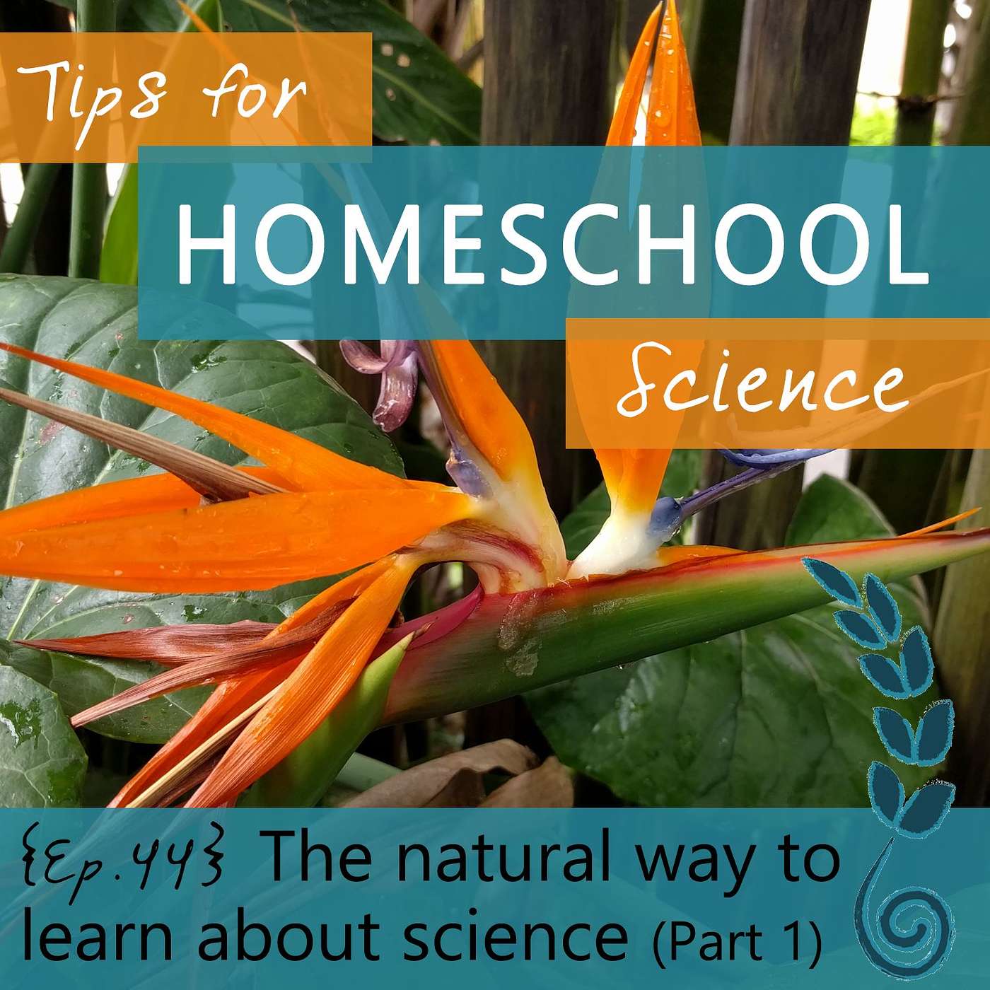 Tips for Homeschool Science Podcast from Elemental Science
