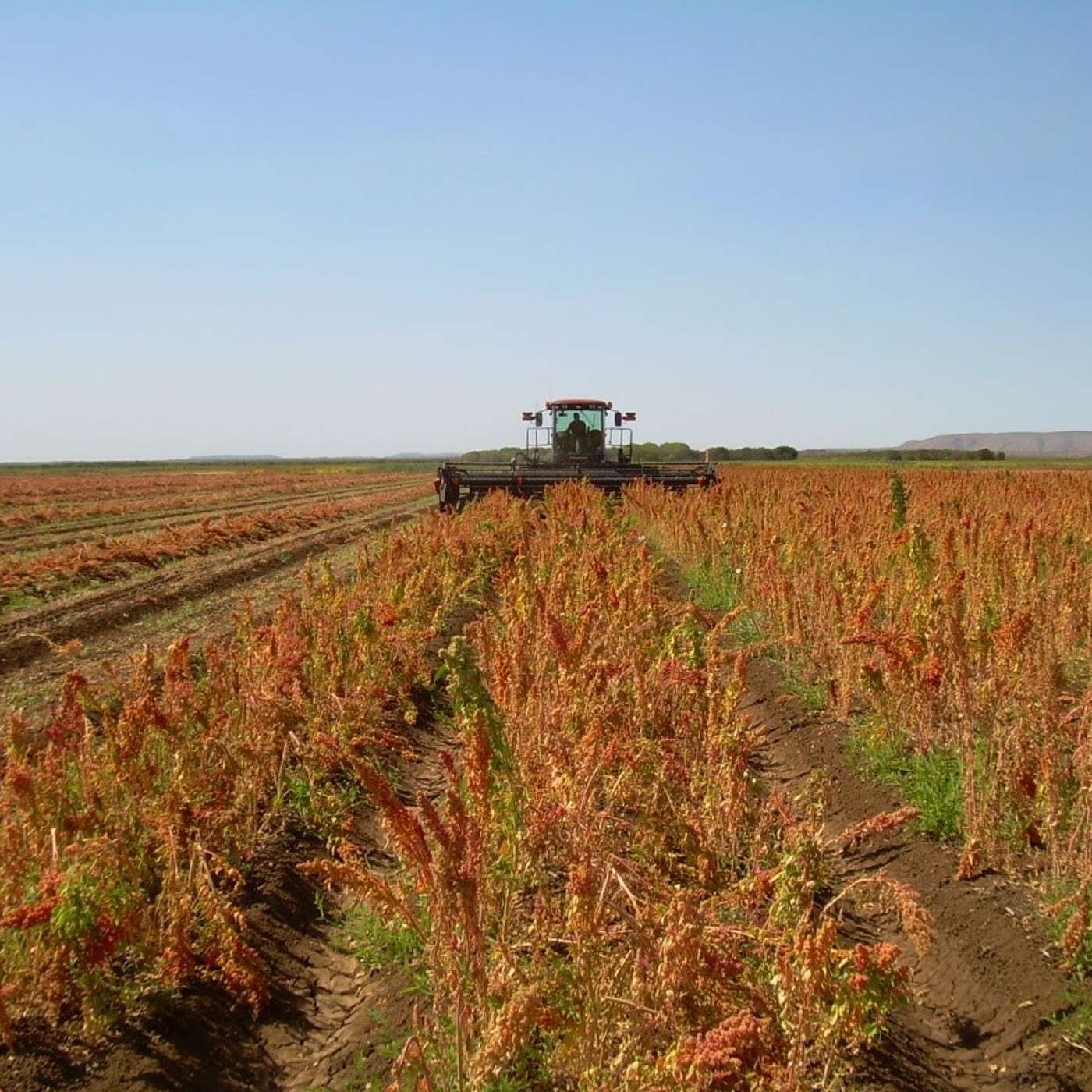 AgriFutures On Air