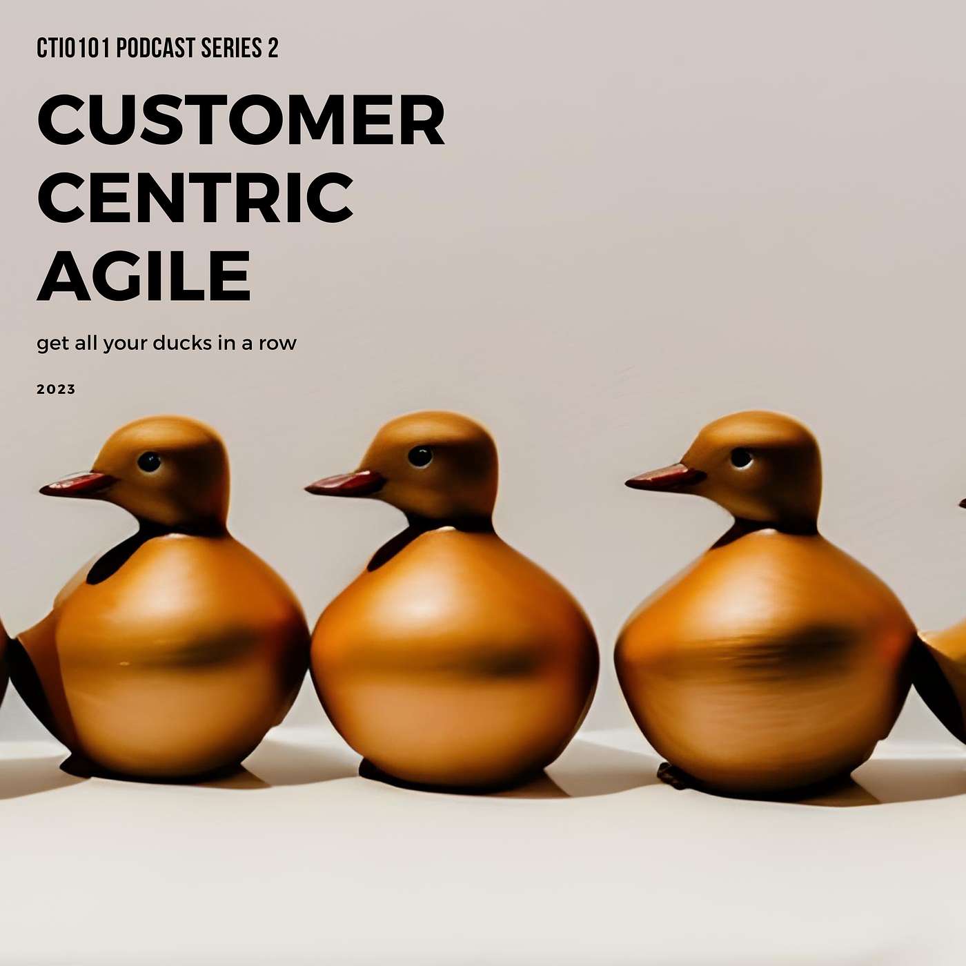 Customer Centric Agile