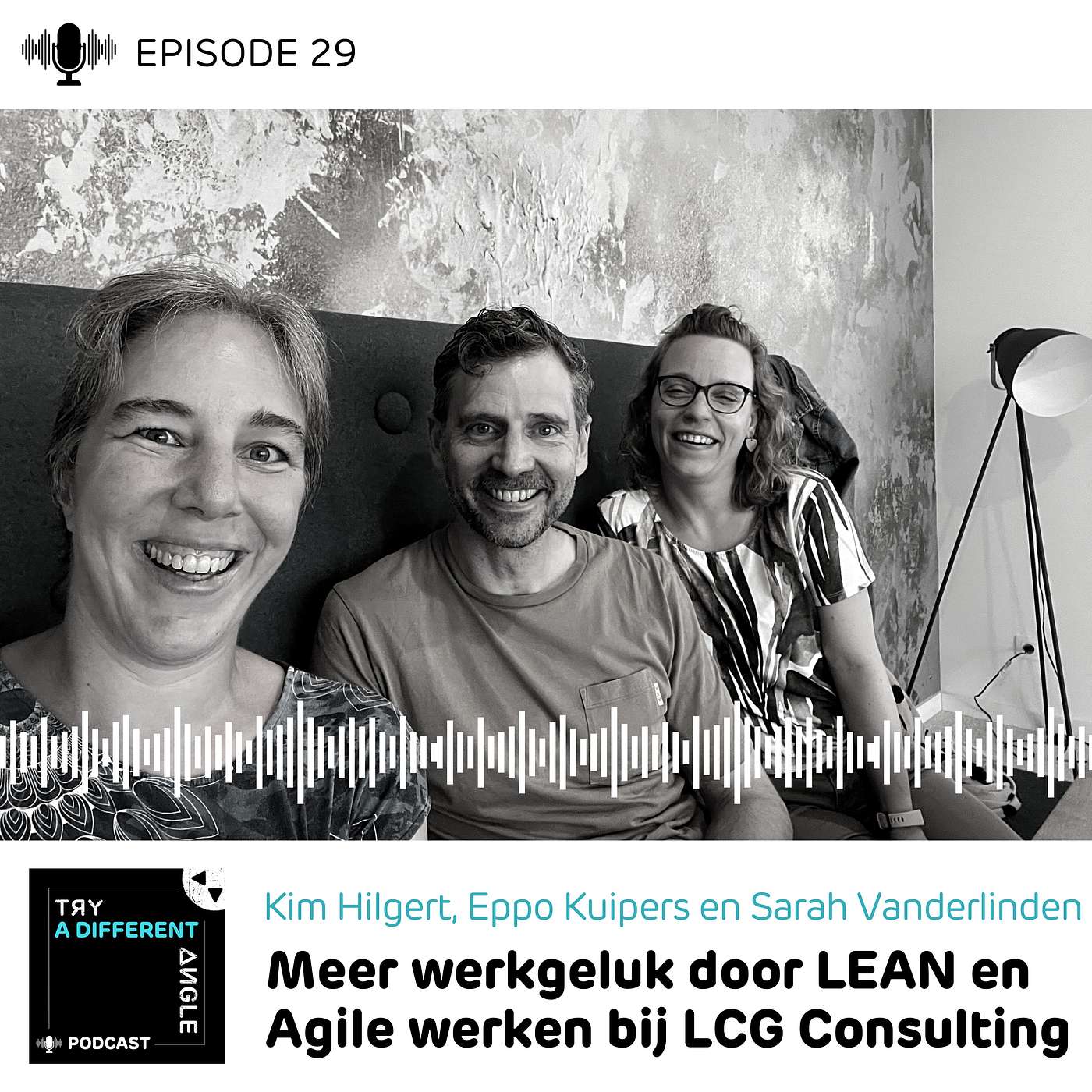 29. Meer werkgeluk door LEAN en Agile werken bij LCG Consulting