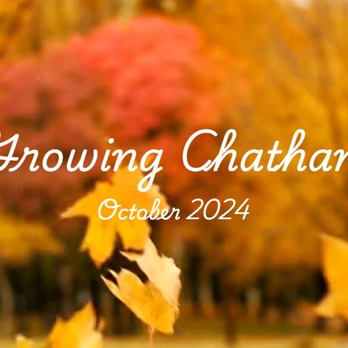 Growing Chatham October 2024