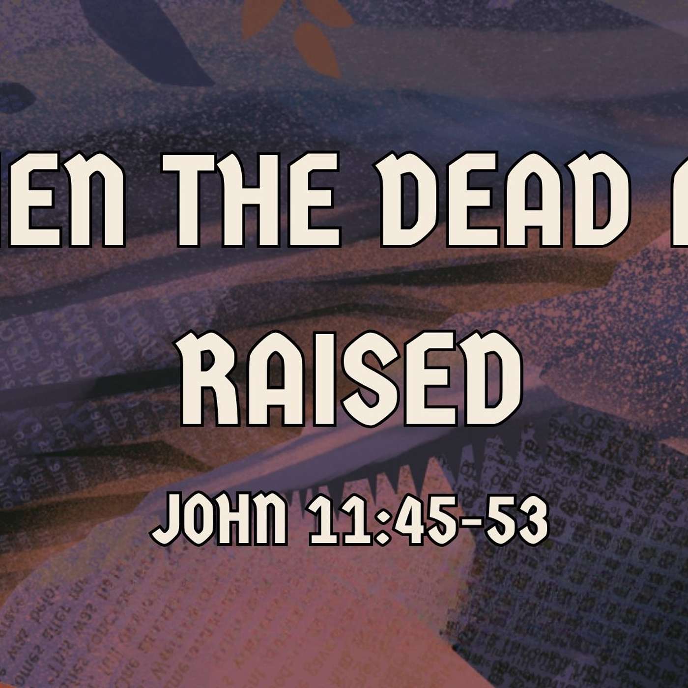 Northwoods Church Tallahassee