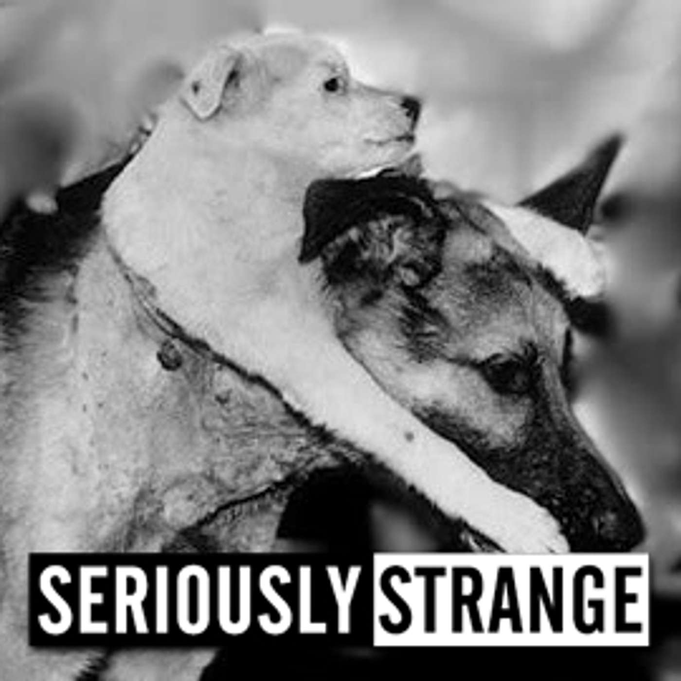 SERIOUSLY STRANGE | Hosted by Rob Gavagan