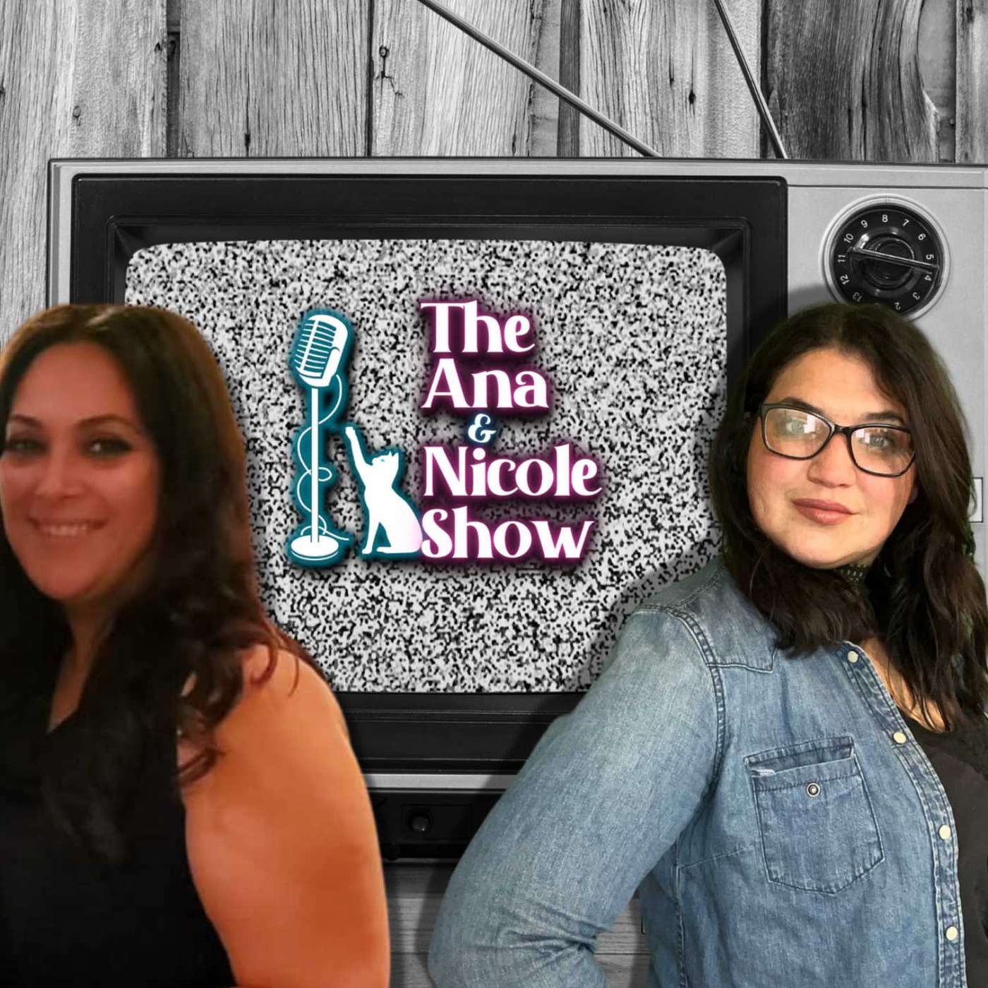 The Ana & Nicole Show podcast artwork