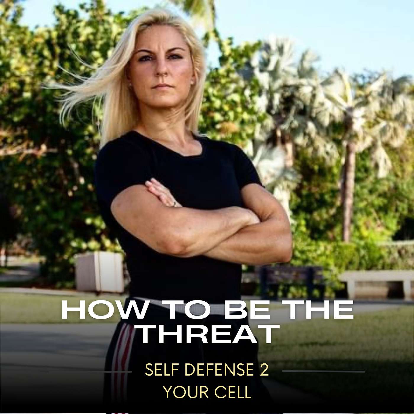 How to BE the threat episode artwork
