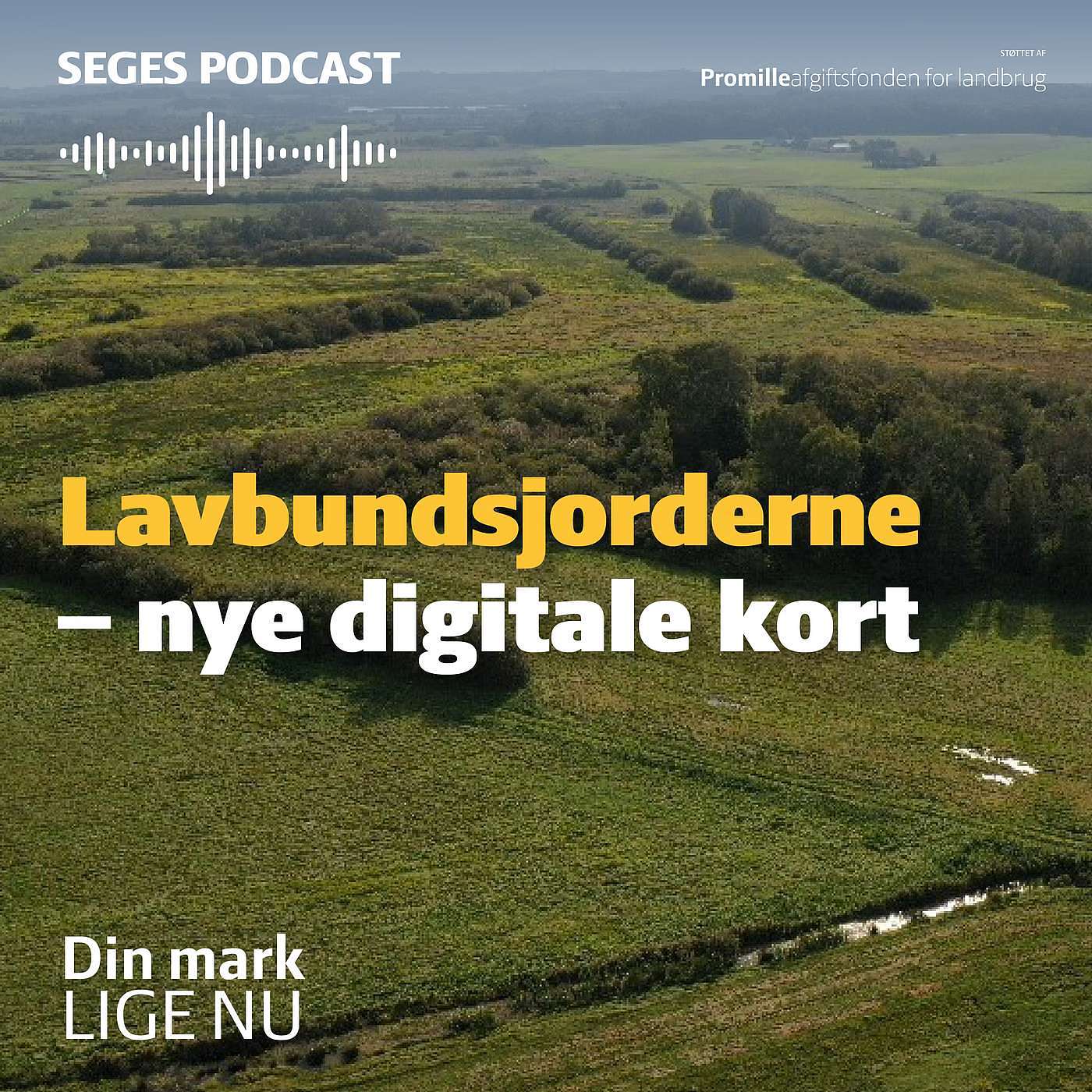 Lavbundsjorderne: Hvilken værdi skaber opdatering af digitale tørvekort? Lavbundsjorderne: Hvilken værdi skaber opdatering af digitale tørvekort?