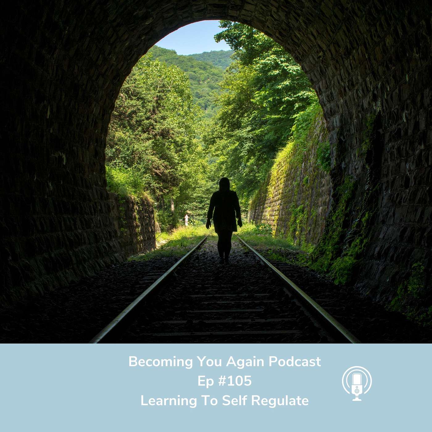 Learning To Self Regulate