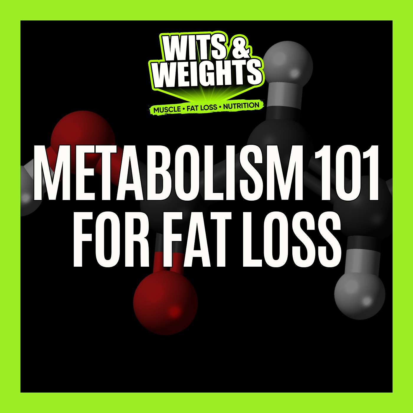 Metabolism 101 (The Science Behind Fat Loss and Muscle Building) | Ep 421 Metabolism 101 (The Science Behind Fat Loss and Muscle Building) | Ep 421