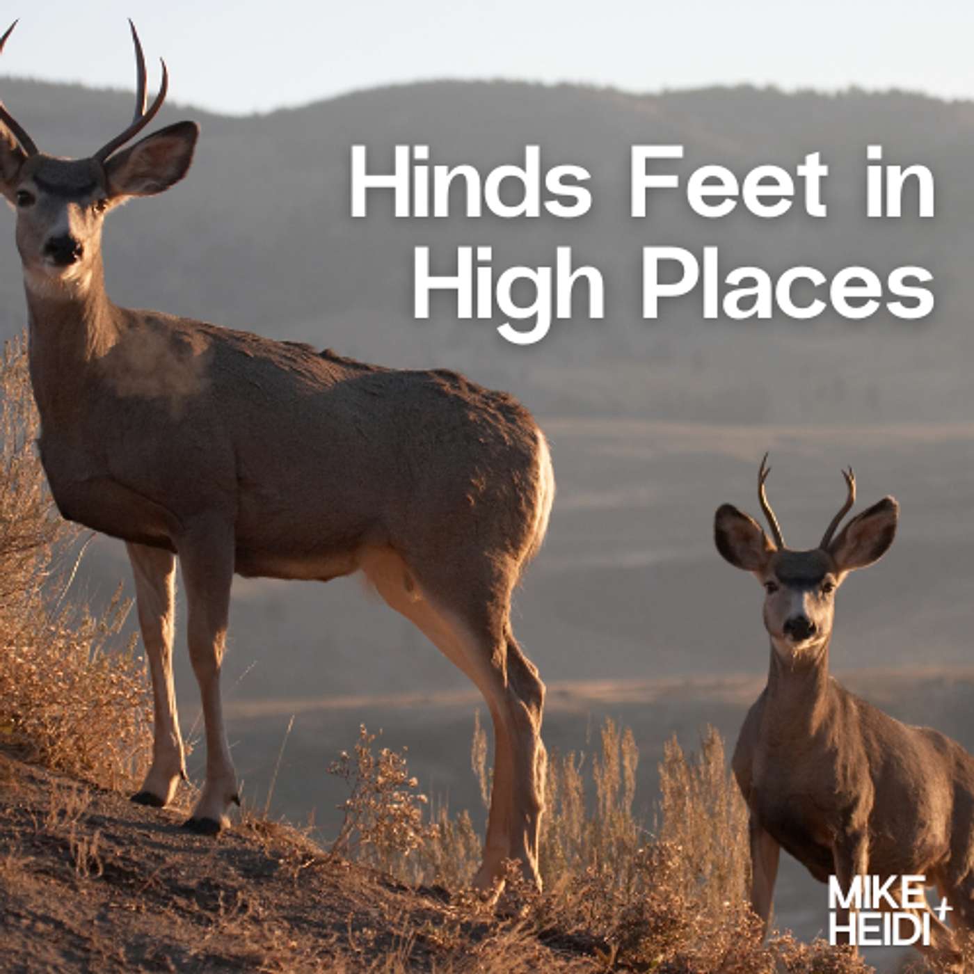 Hinds Feet in High Places