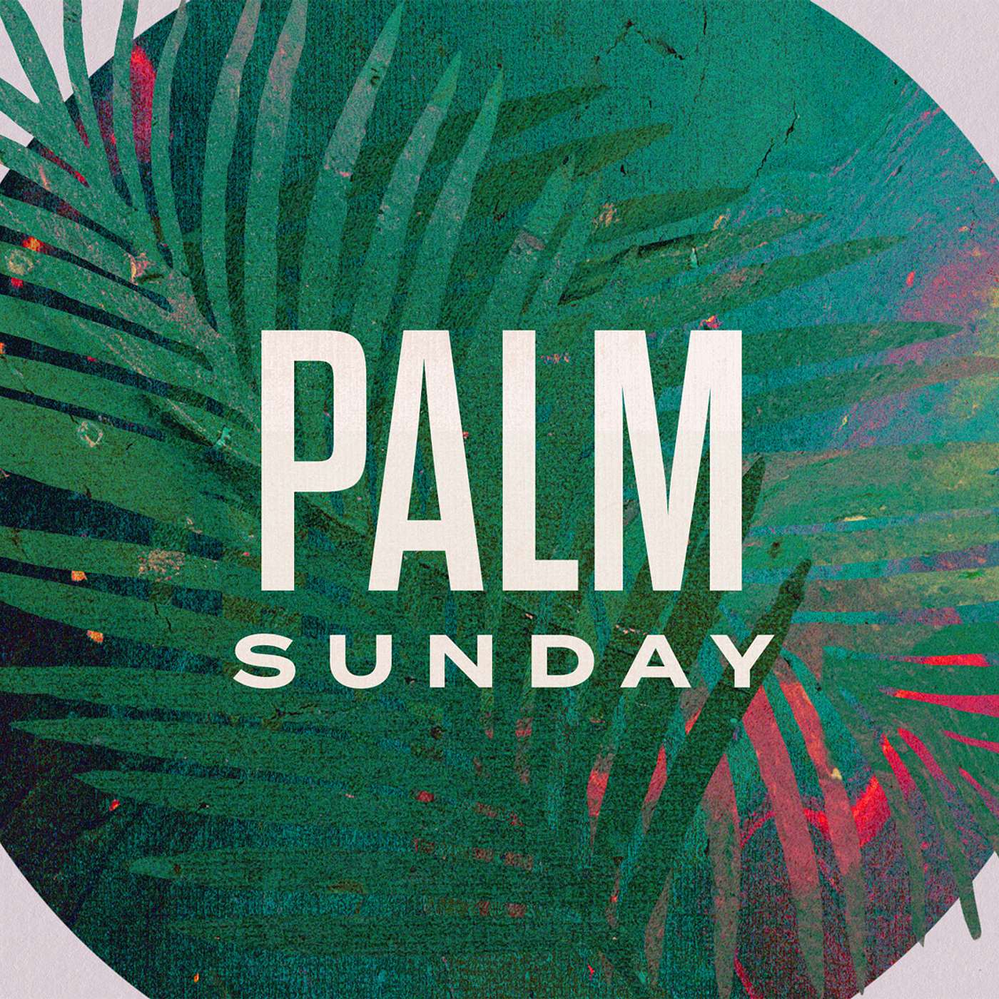 The Daily Walk | 04.01.2026 | Nancy Williams | 1 Peter 1:3 episode artwork