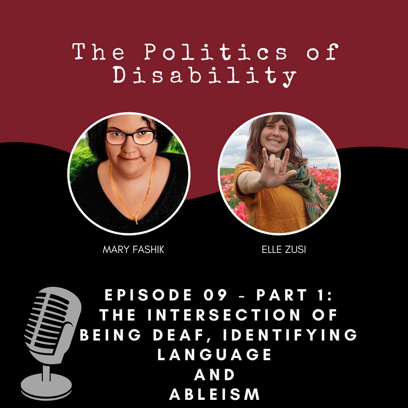 The Politics of Disability