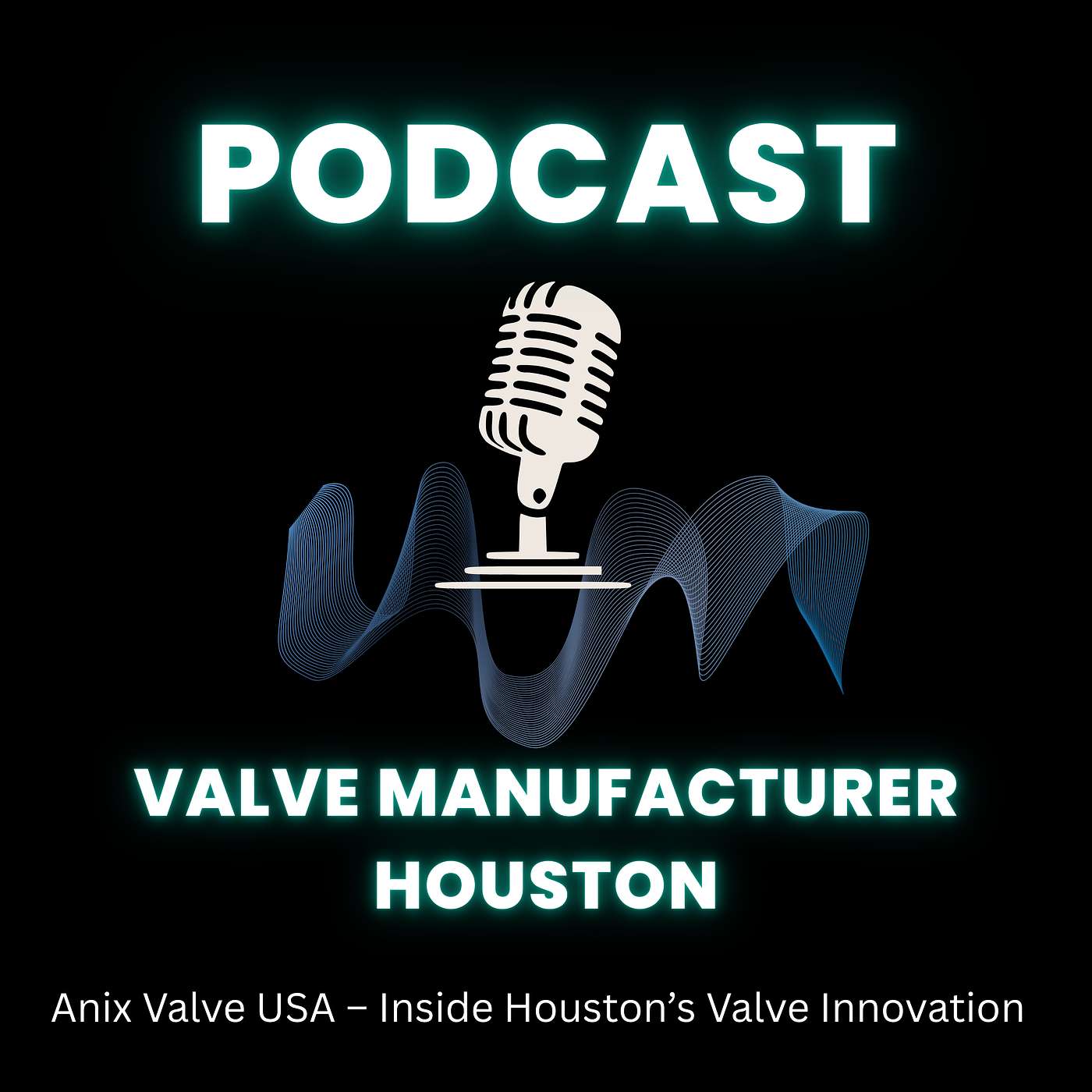Anix Valve USA – Inside Houston’s Valve Innovation Anix Valve USA – Inside Houston’s Valve Innovation