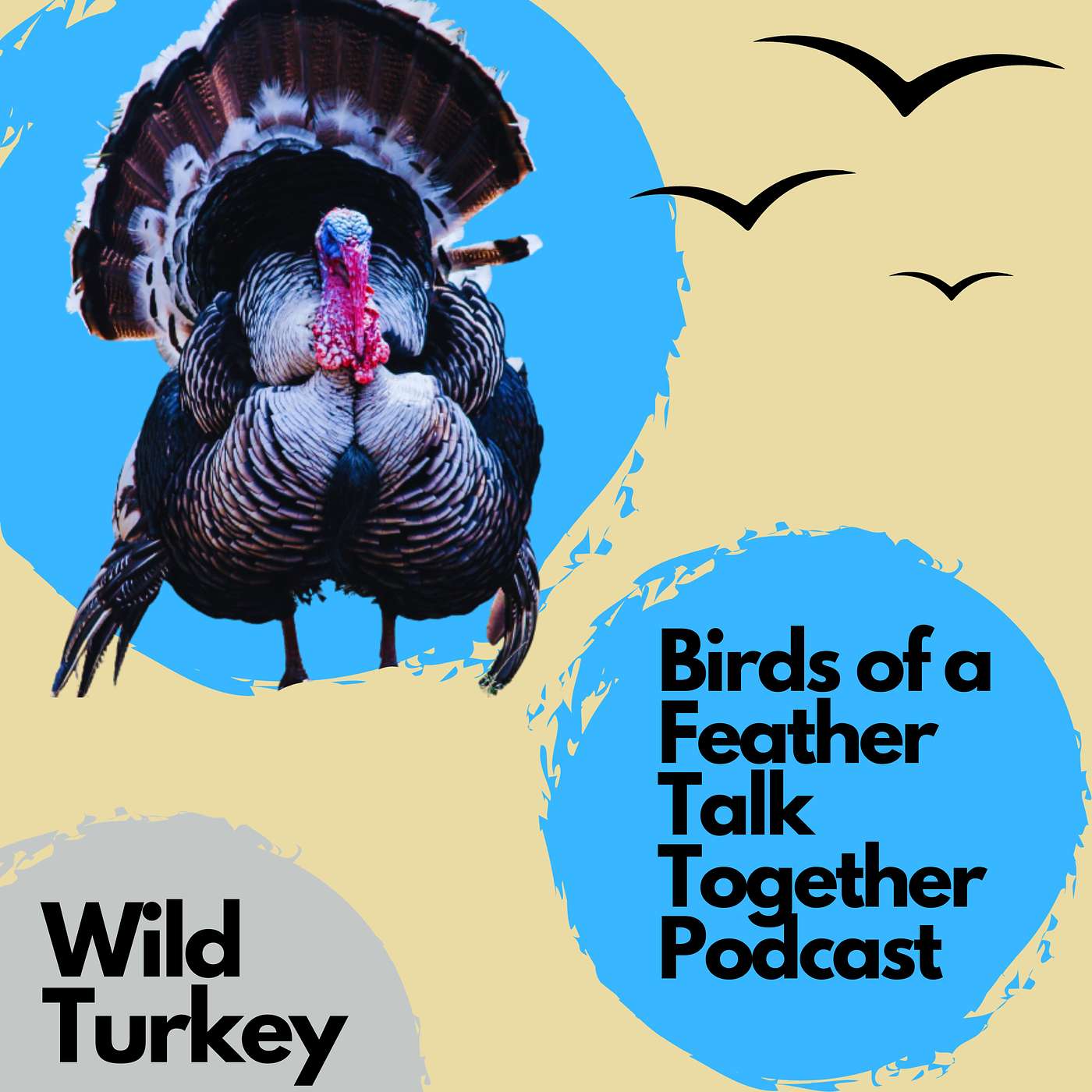 Birds of a Feather Talk Together