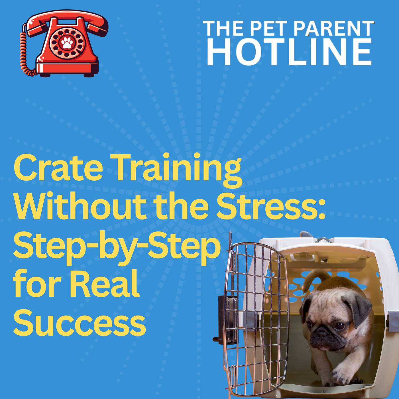 Crate Training Without the Stress: Step-by-Step for Real Success
