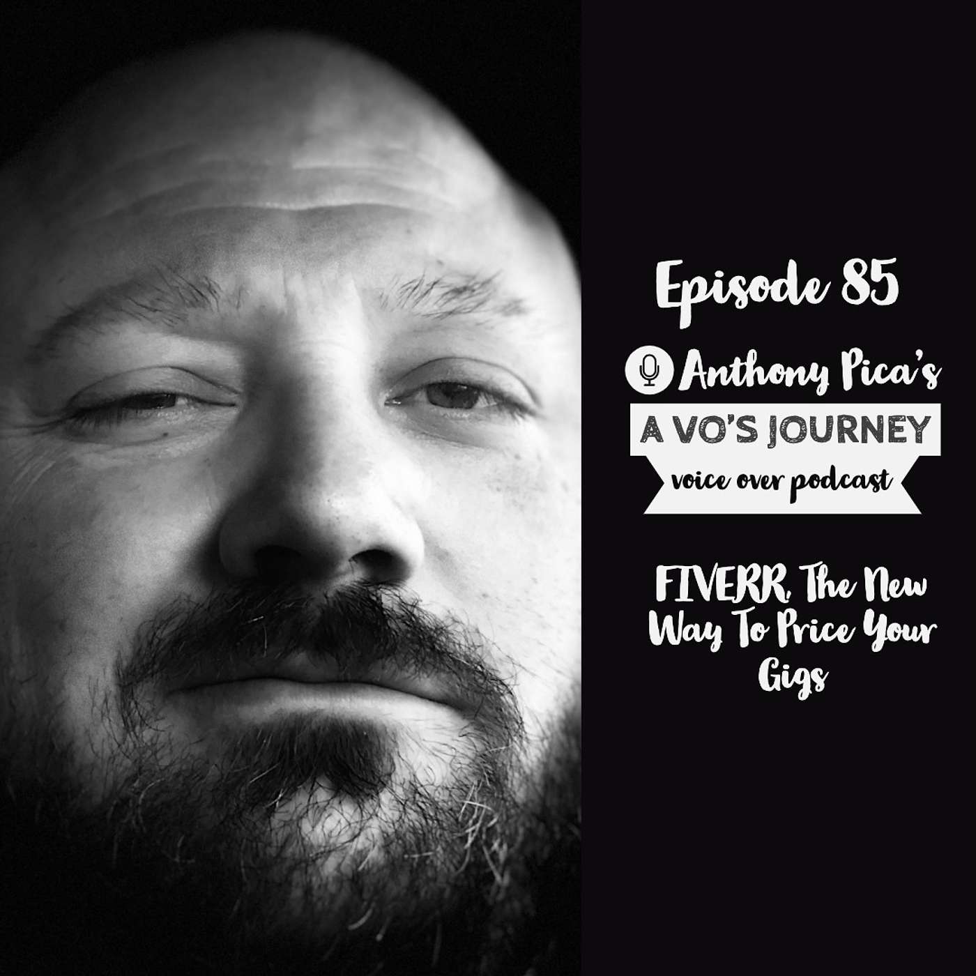 A VO\'s Journey: Voiceover and more voice over
