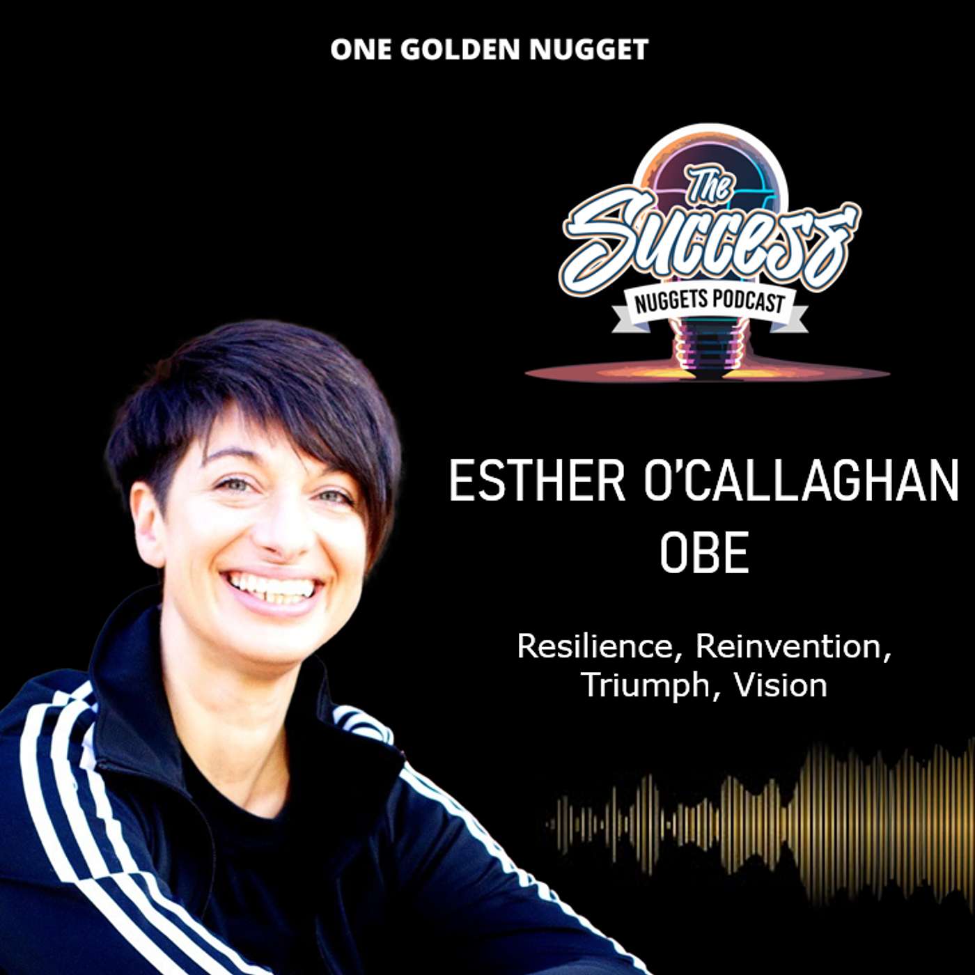 The Success Nuggets