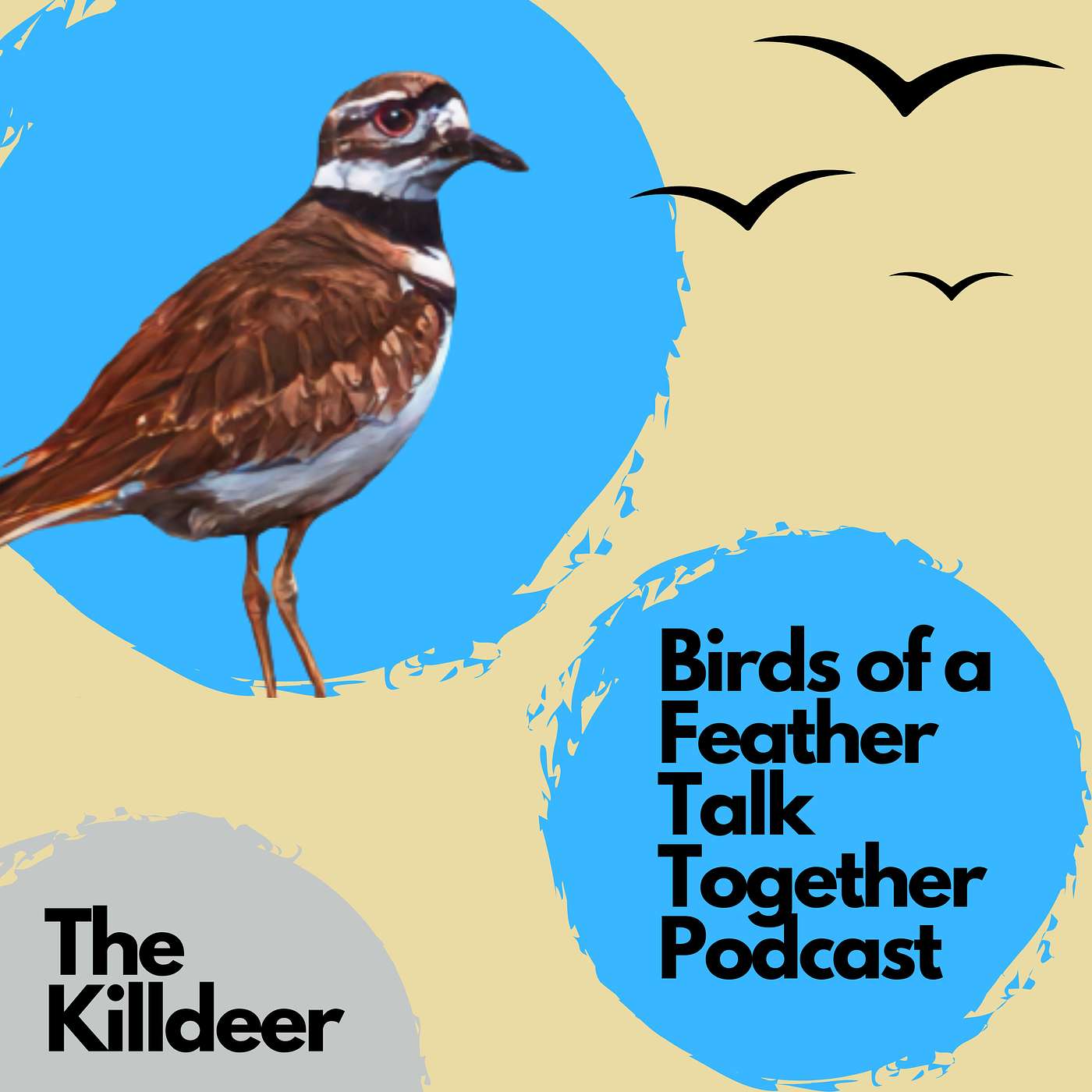 Birds of a Feather Talk Together