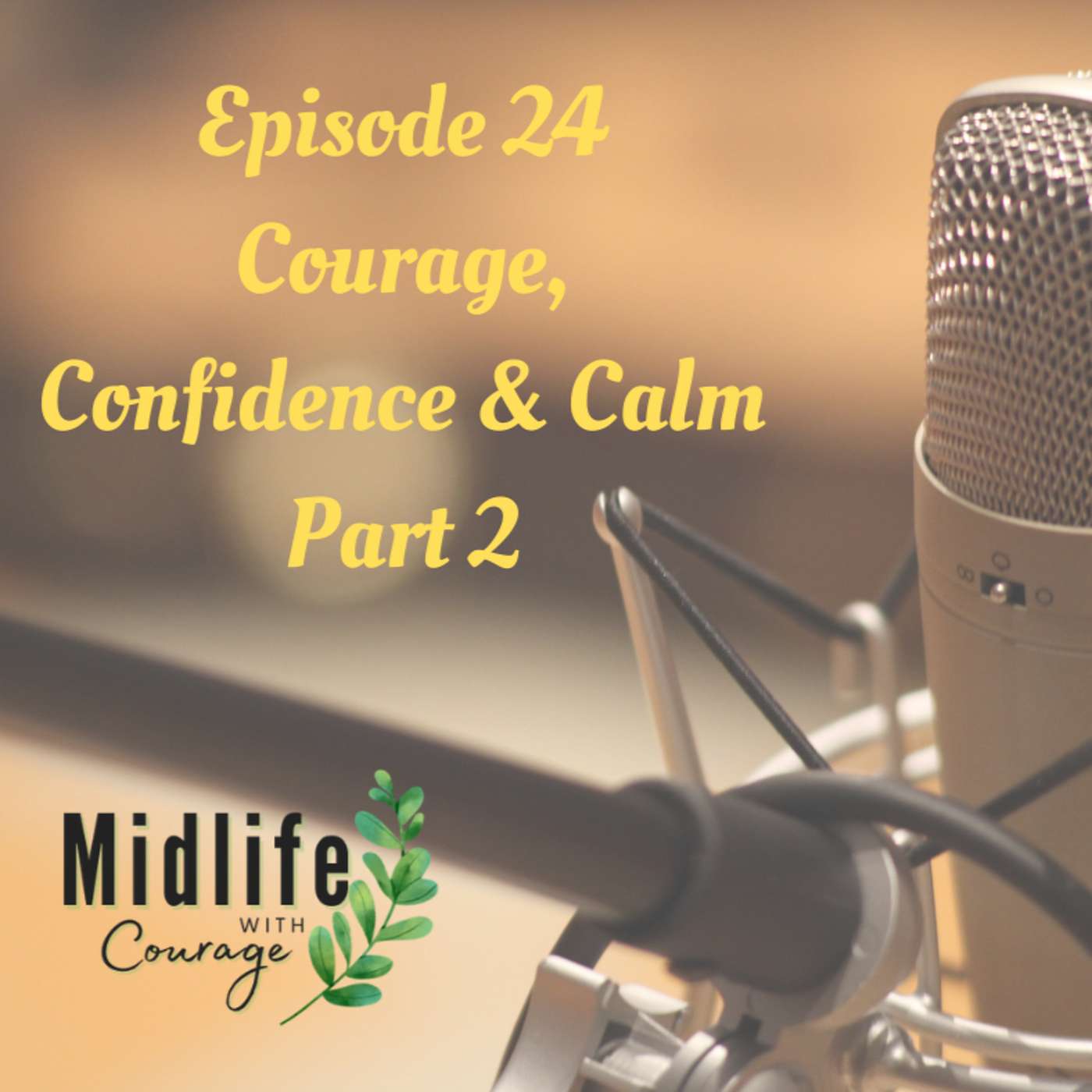 Episode 24-Courage, Confidence & Calm Part 2