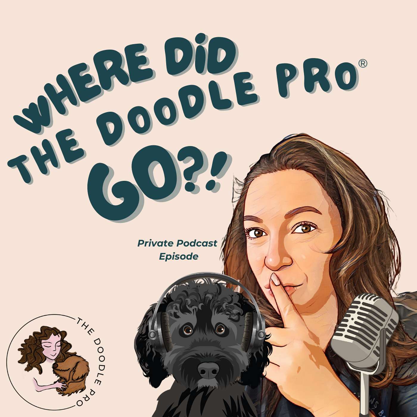 Bonus: Where Did the Doodle Pro® GO?!