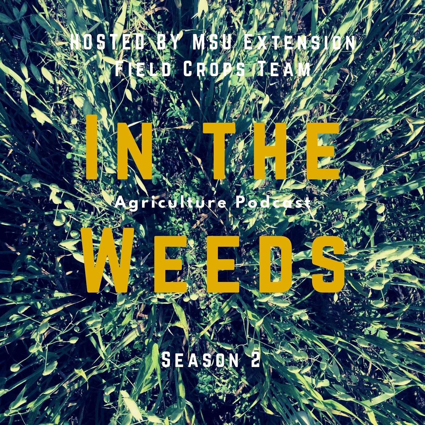 In the Weeds: Pretty Please Participate! episode artwork