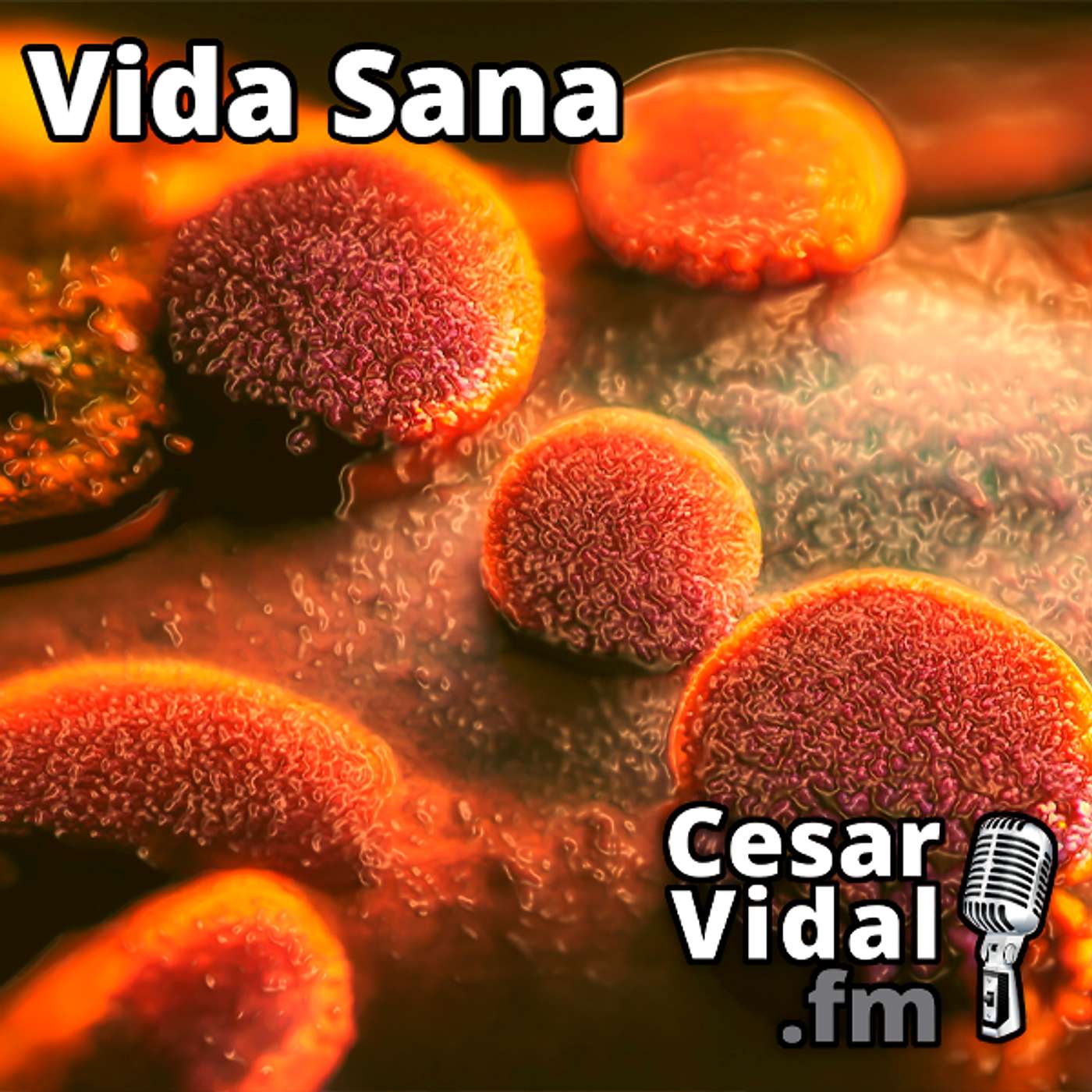 Vida Sana: Libérate de la Disbiosis - 29/01/25