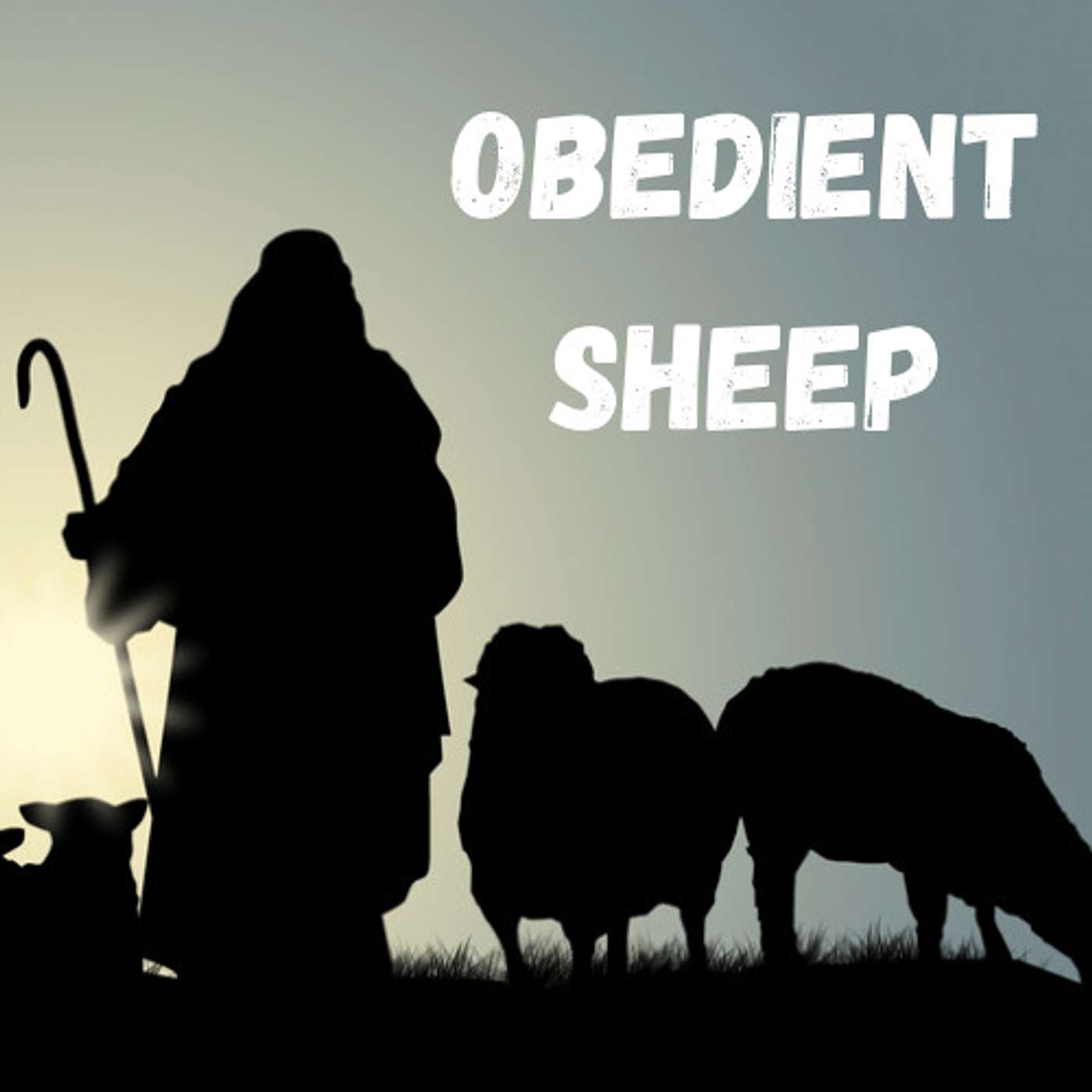 Obedient Sheep episode artwork