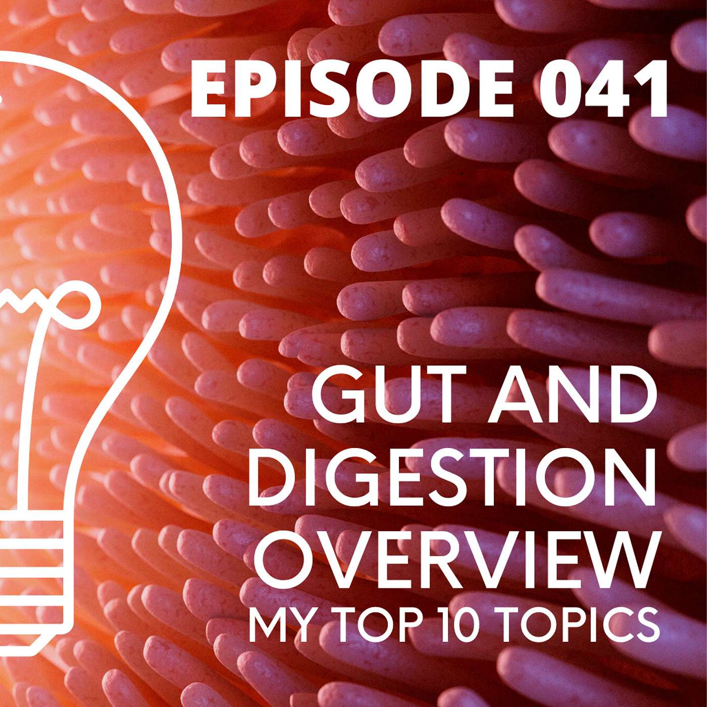 041 - GUT AND DIGESTION OVERVIEW - MY TOP 10 TOPICS