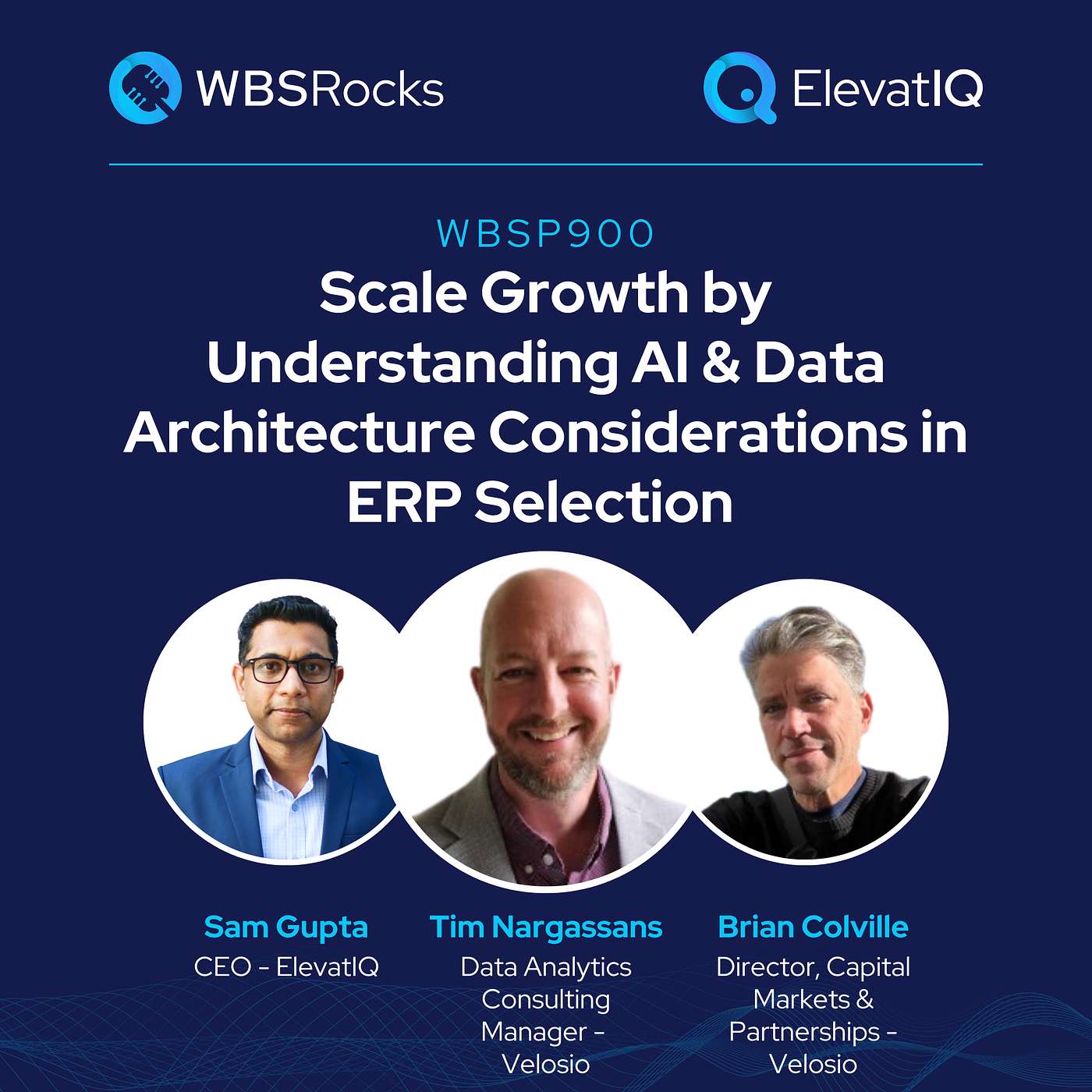 WBSP900: Scale Growth by Understanding AI & Data Architecture Considerations in ERP Selection, an Objective Panel Review episode artwork