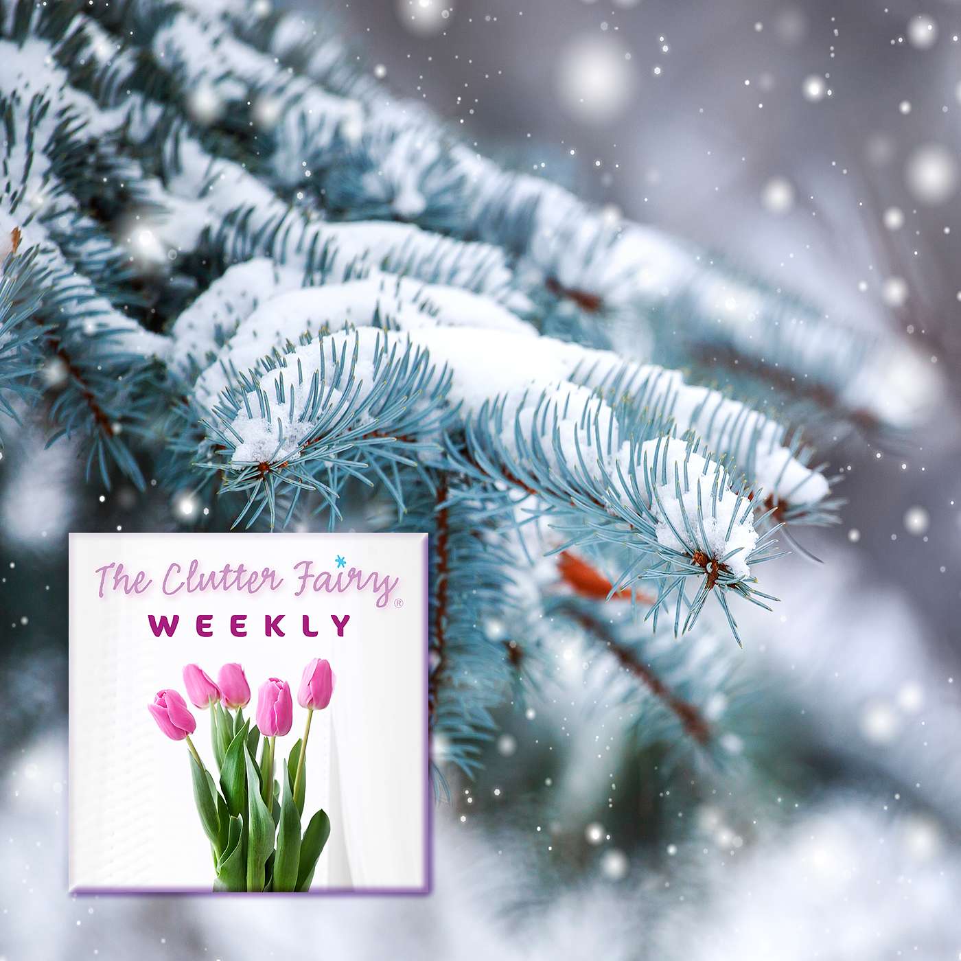 The Clutter Fairy Weekly