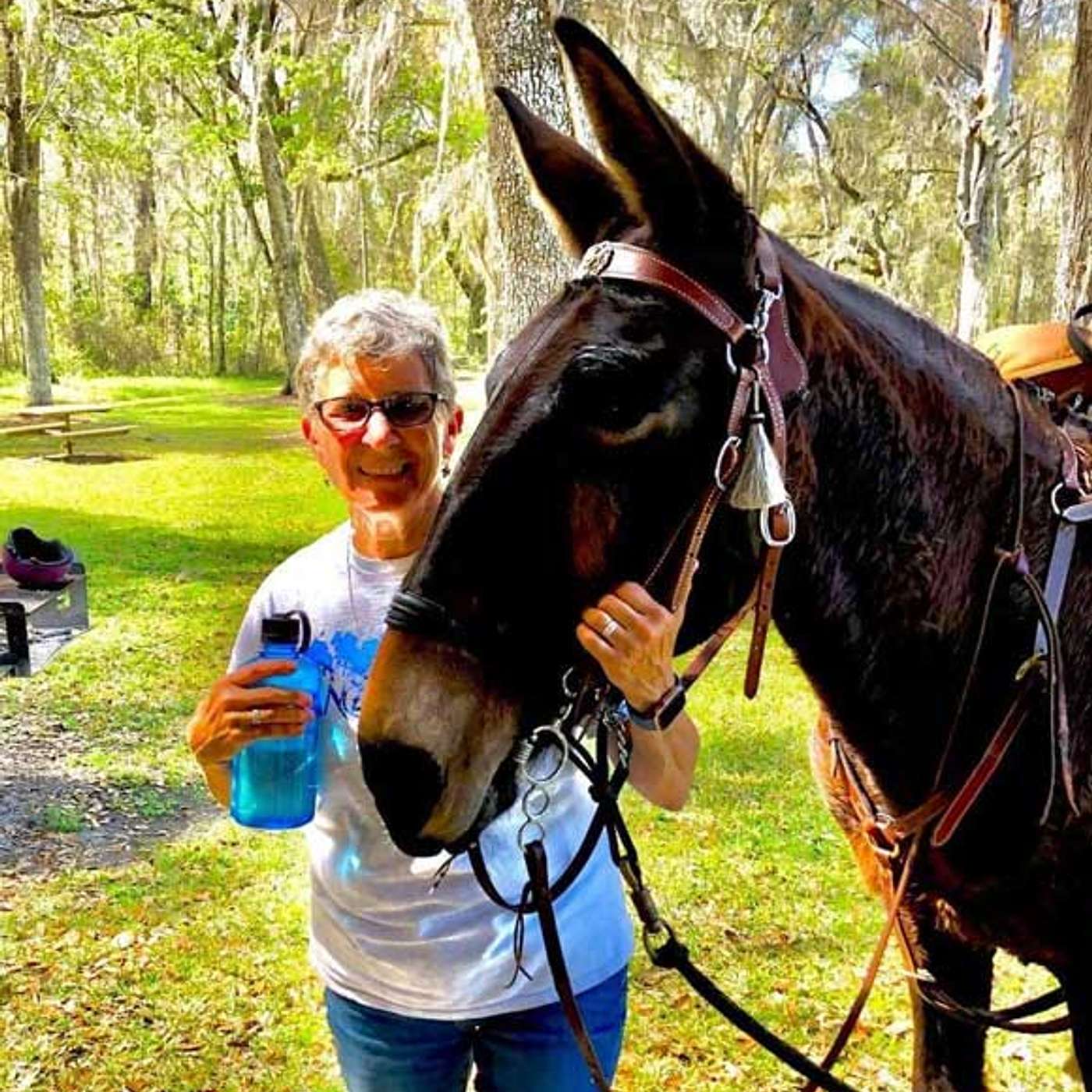 MULE TALK! THE PODCAST ABOUT MULES, MULE TRAINING, AND THE MULE INDUSTRY.