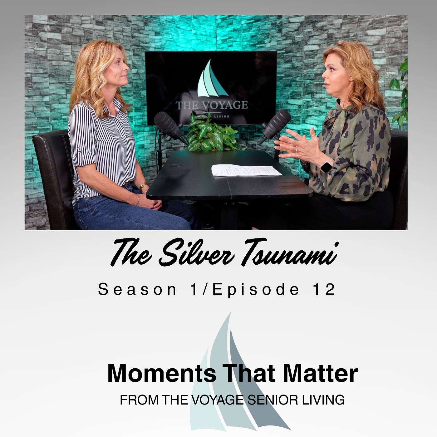 The Silver Tsunami- The Voyage Senior Living Podcast episode artwork