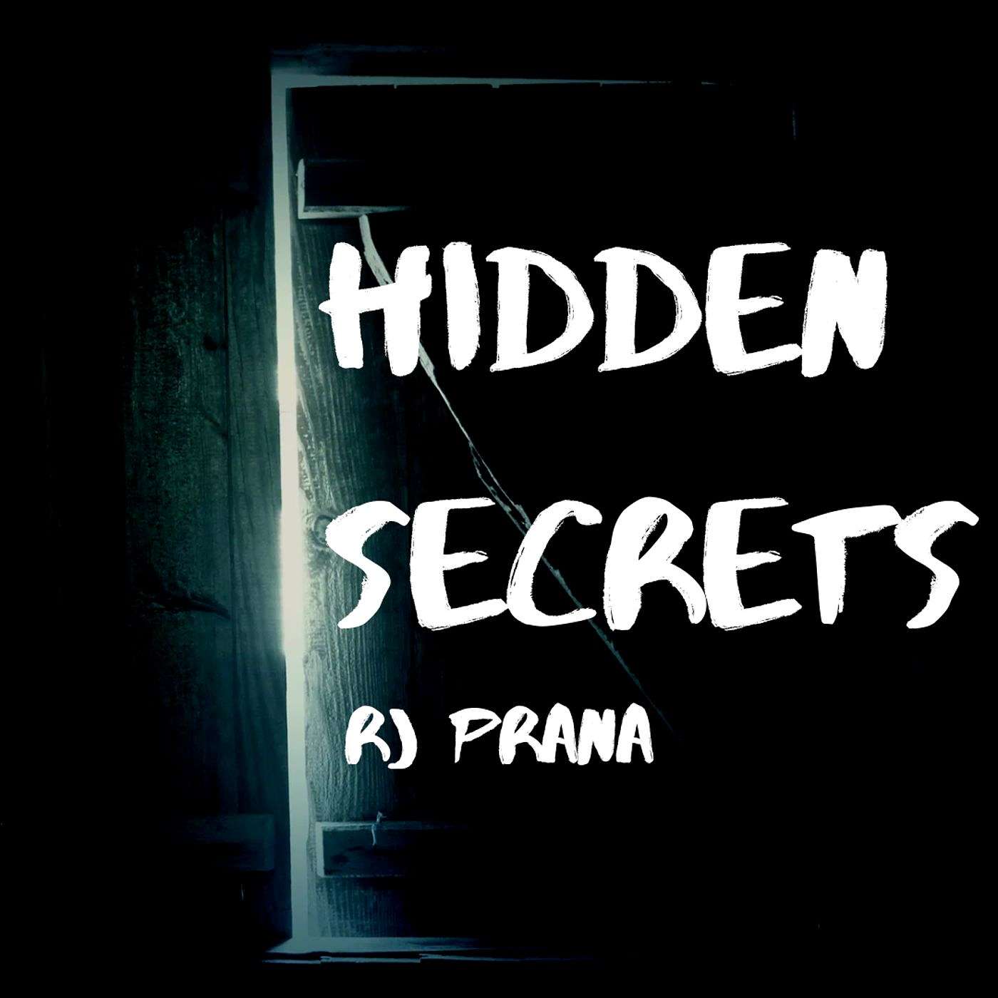 Hidden Secrets by RJ Prana