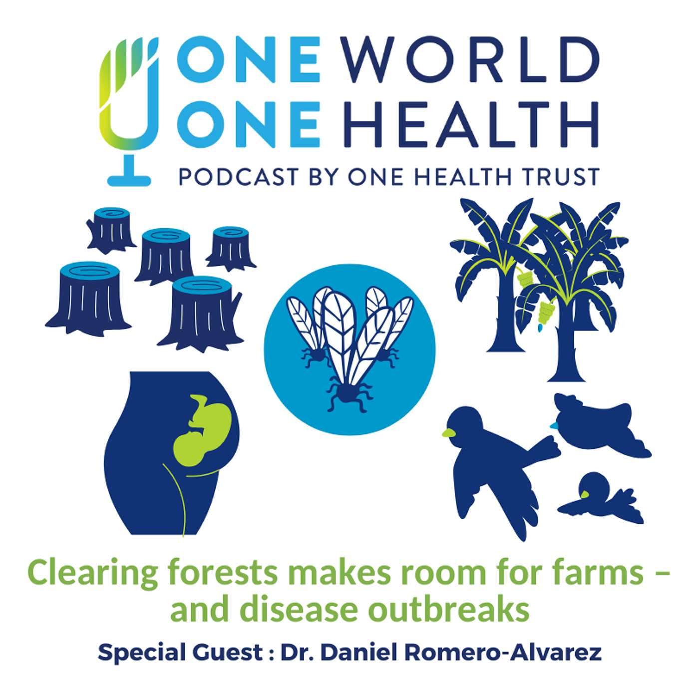 Clearing forests makes room for farms – and disease outbreaks