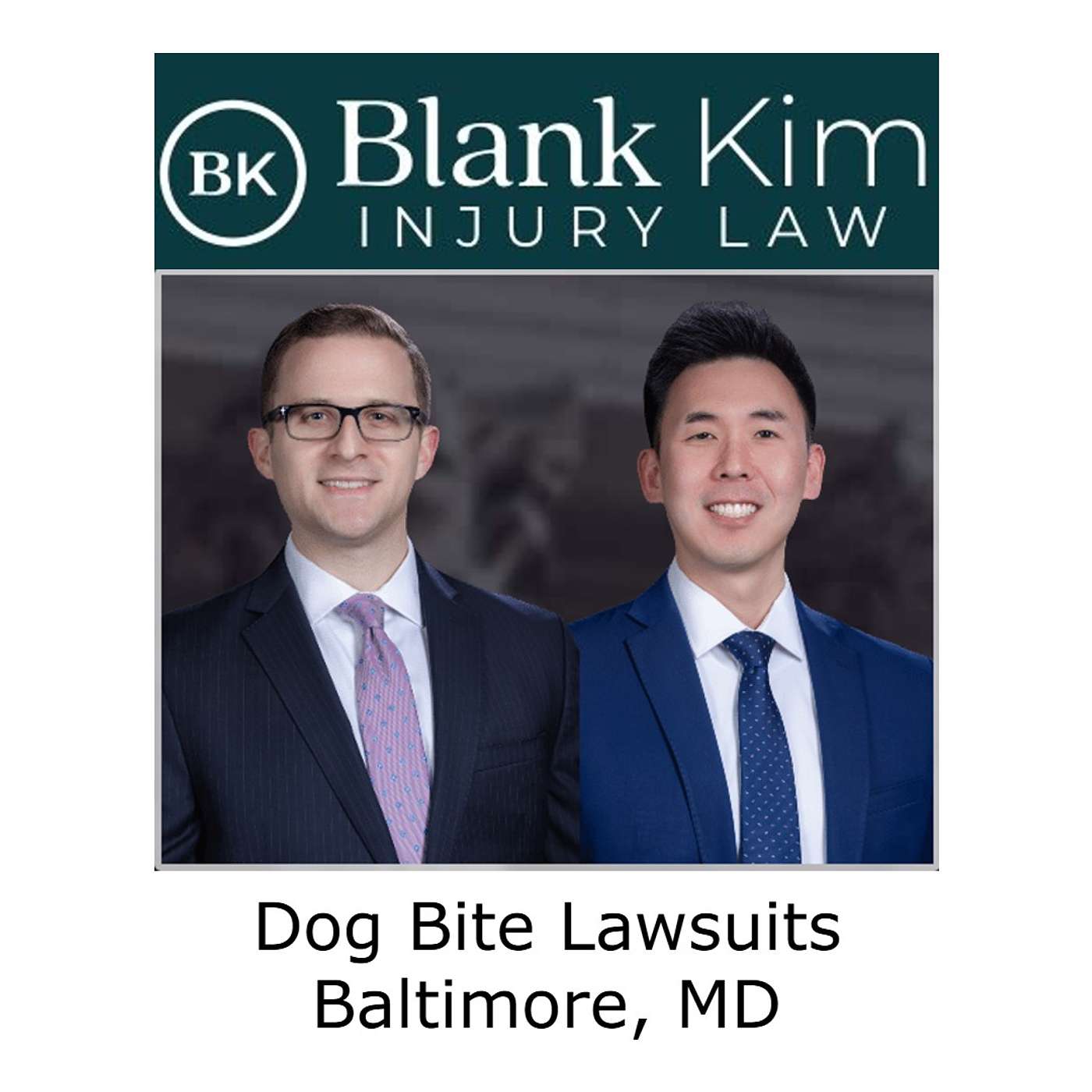 Dog Bite Lawsuits Baltimore, MD episode artwork