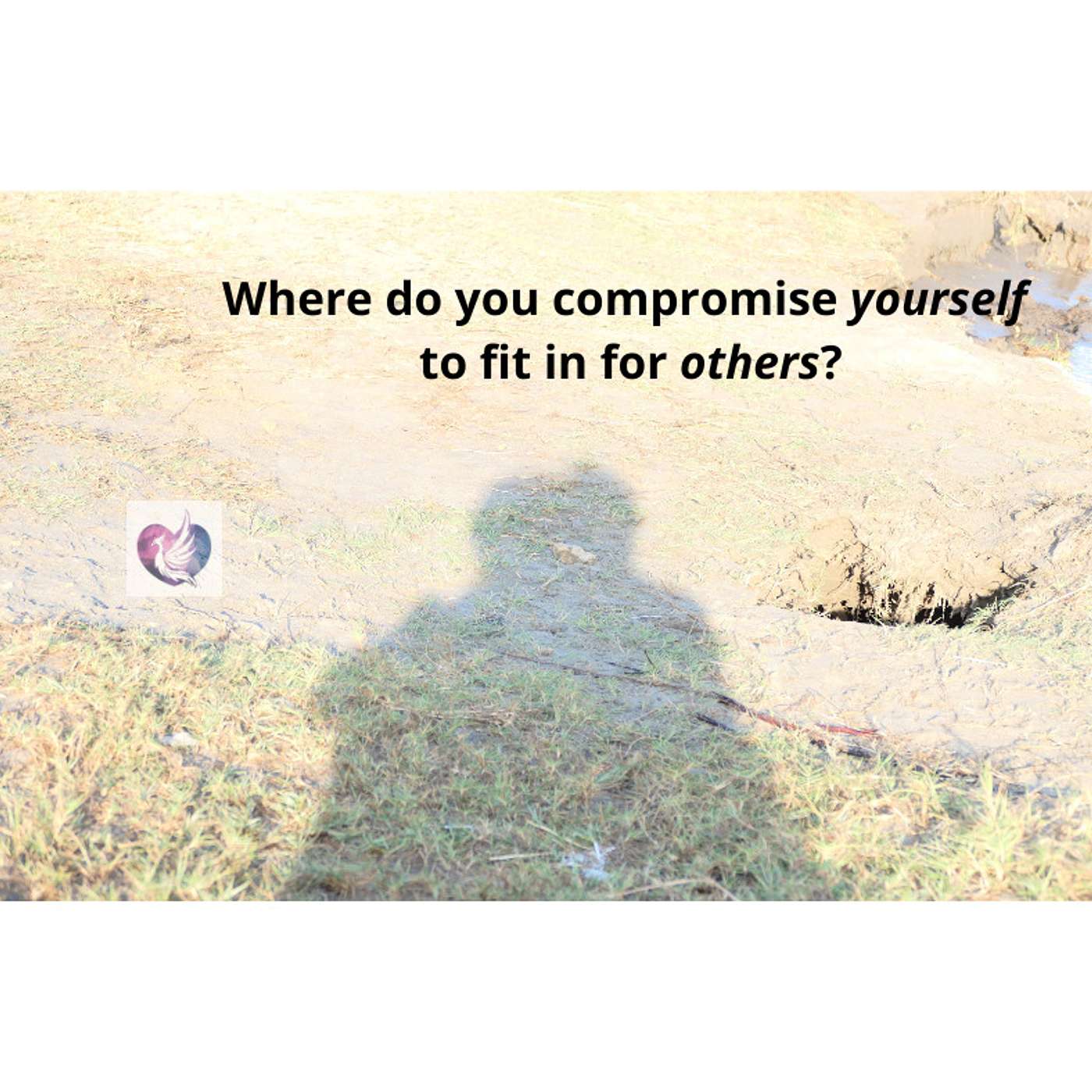 Episode 8 Where are you trying to fit in, so you belong? episode artwork