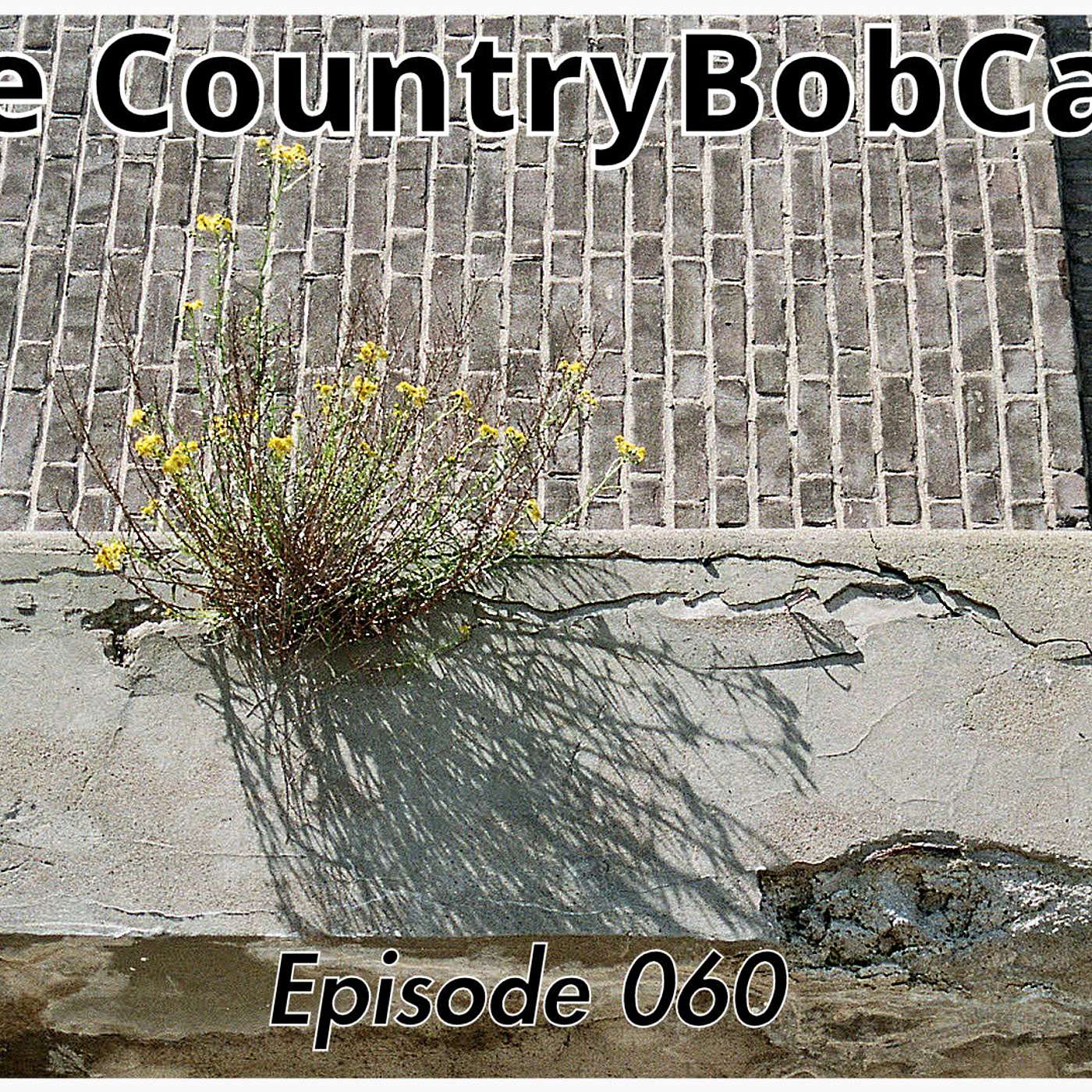 The CountryBobCast