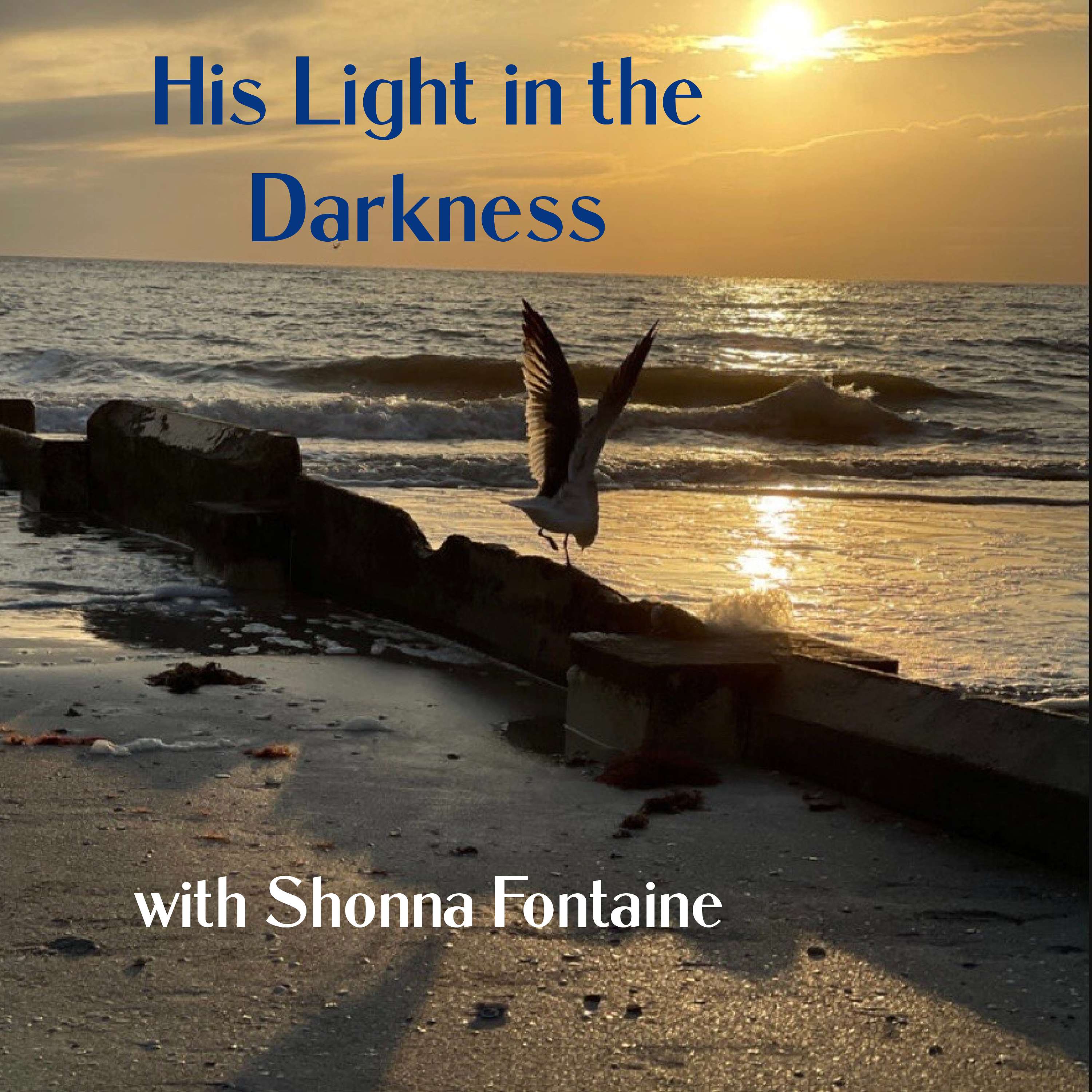 His Light In the Darkness cover art